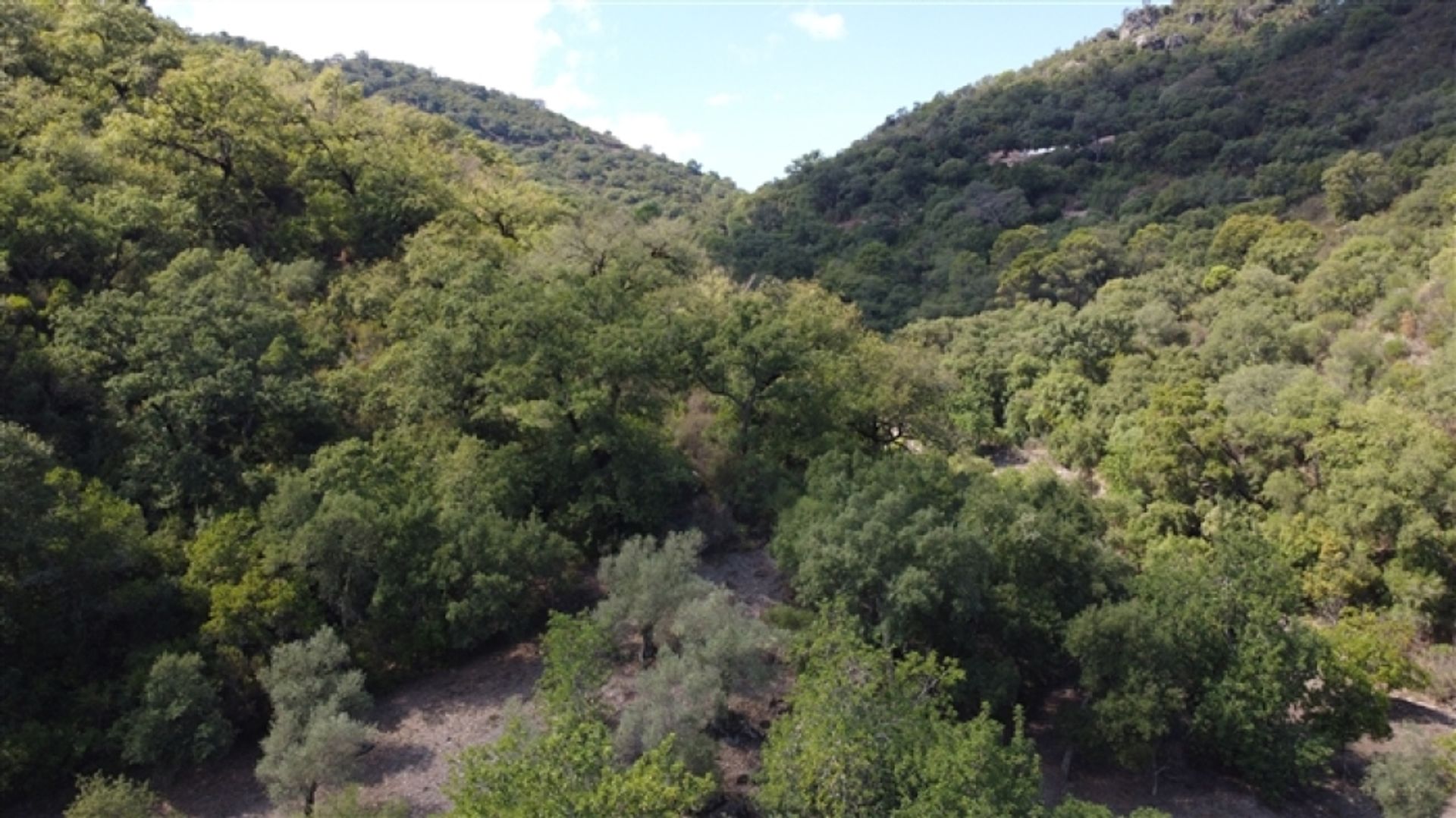 Land in Benarrabá, Andalucía 11517060