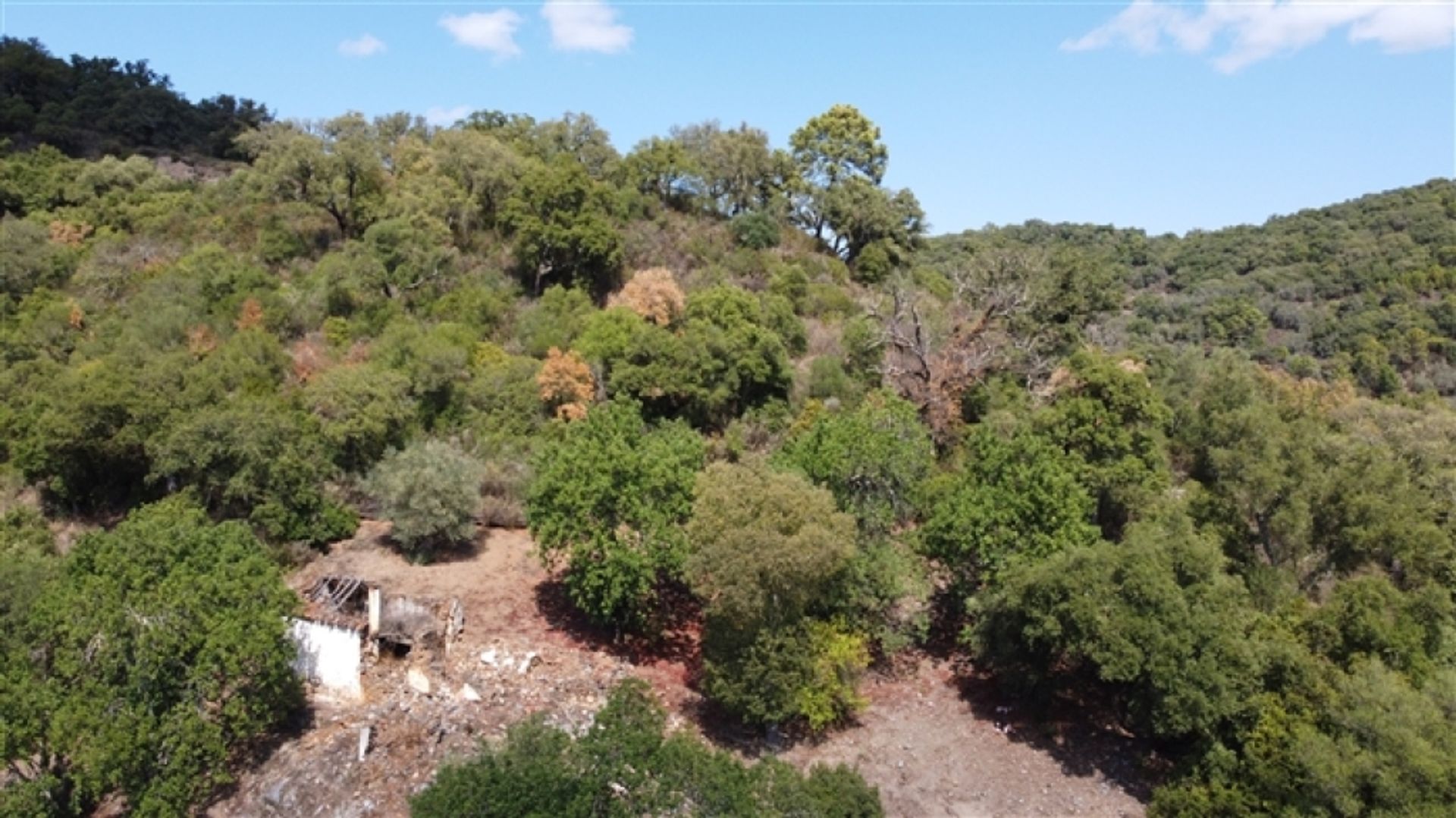 Land in Benarrabá, Andalucía 11517060