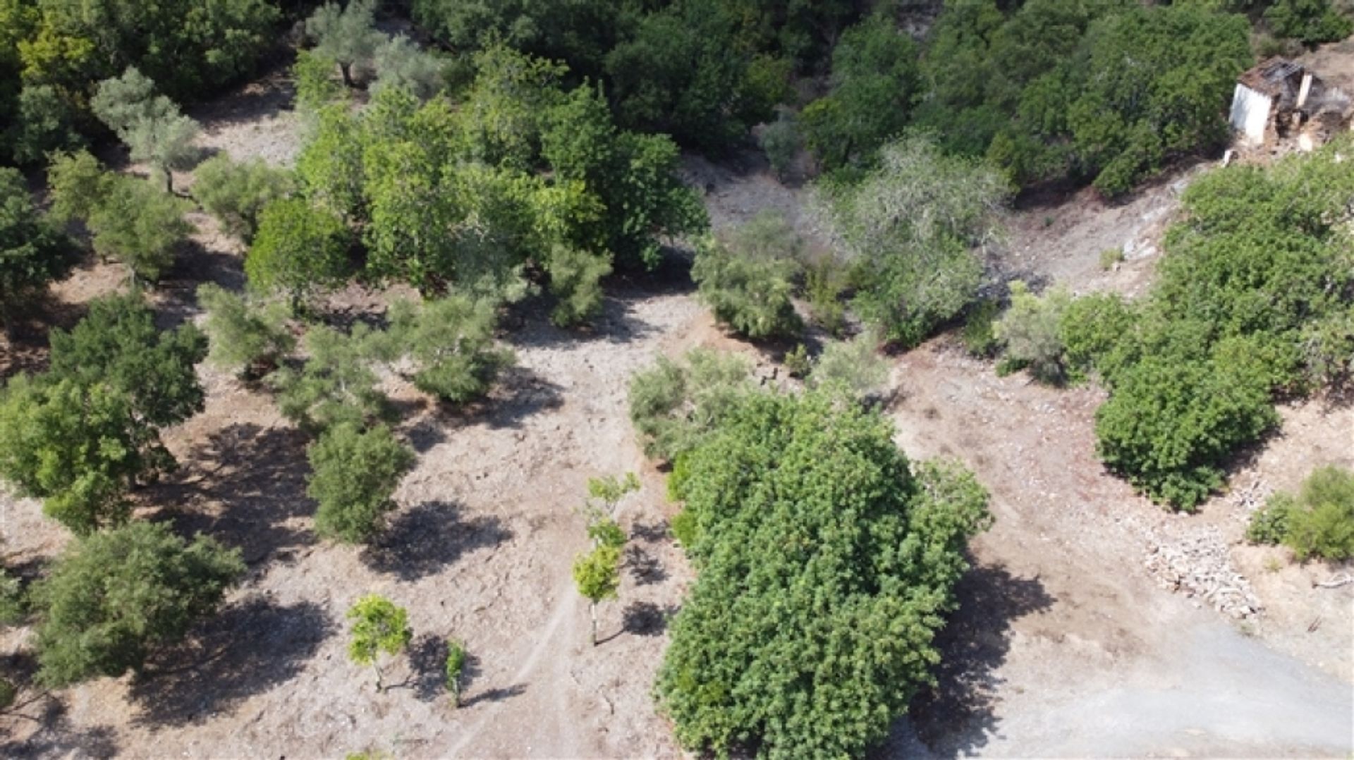 Land in Benarrabá, Andalucía 11517060