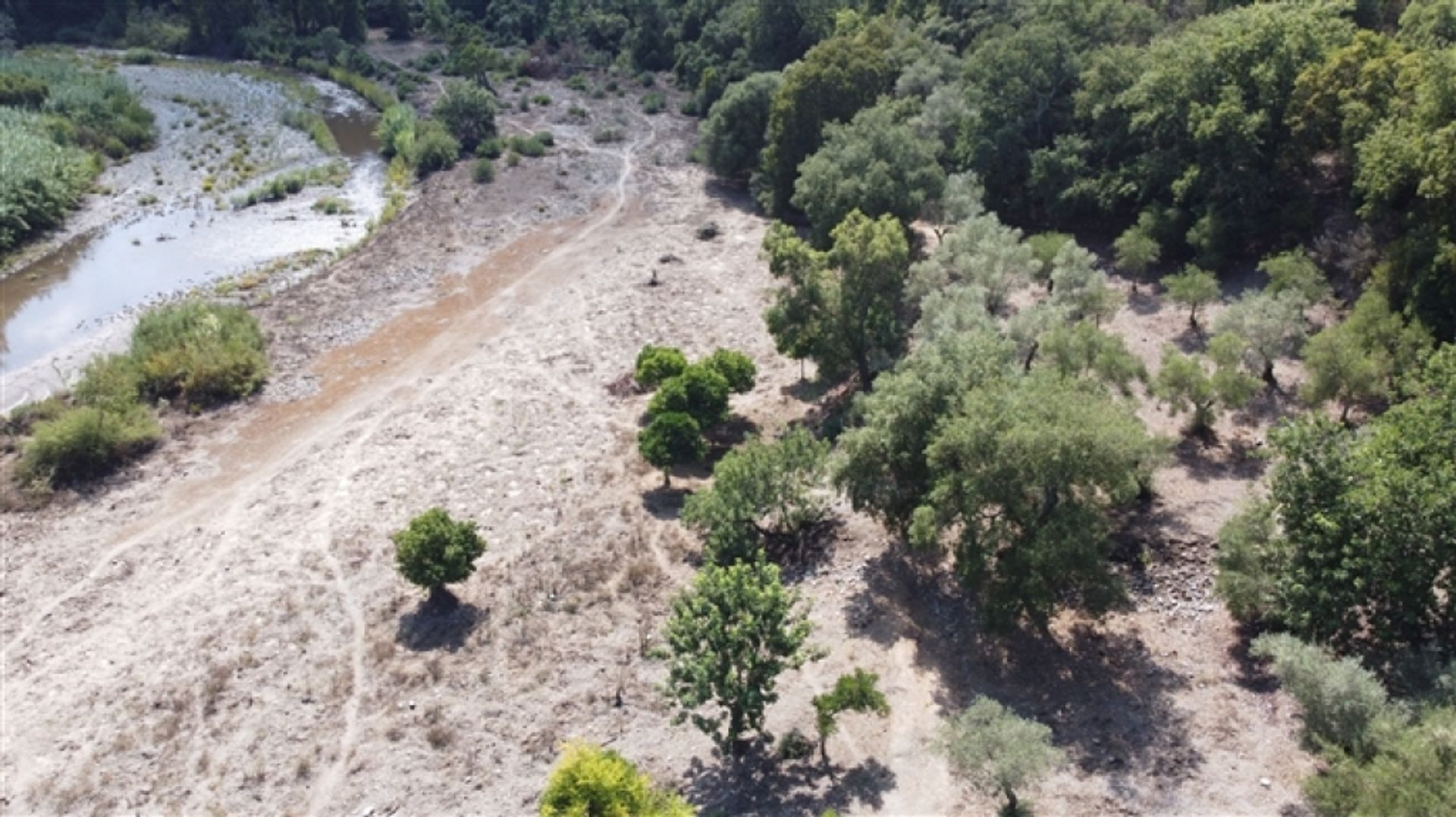 Land in Benarrabá, Andalucía 11517060