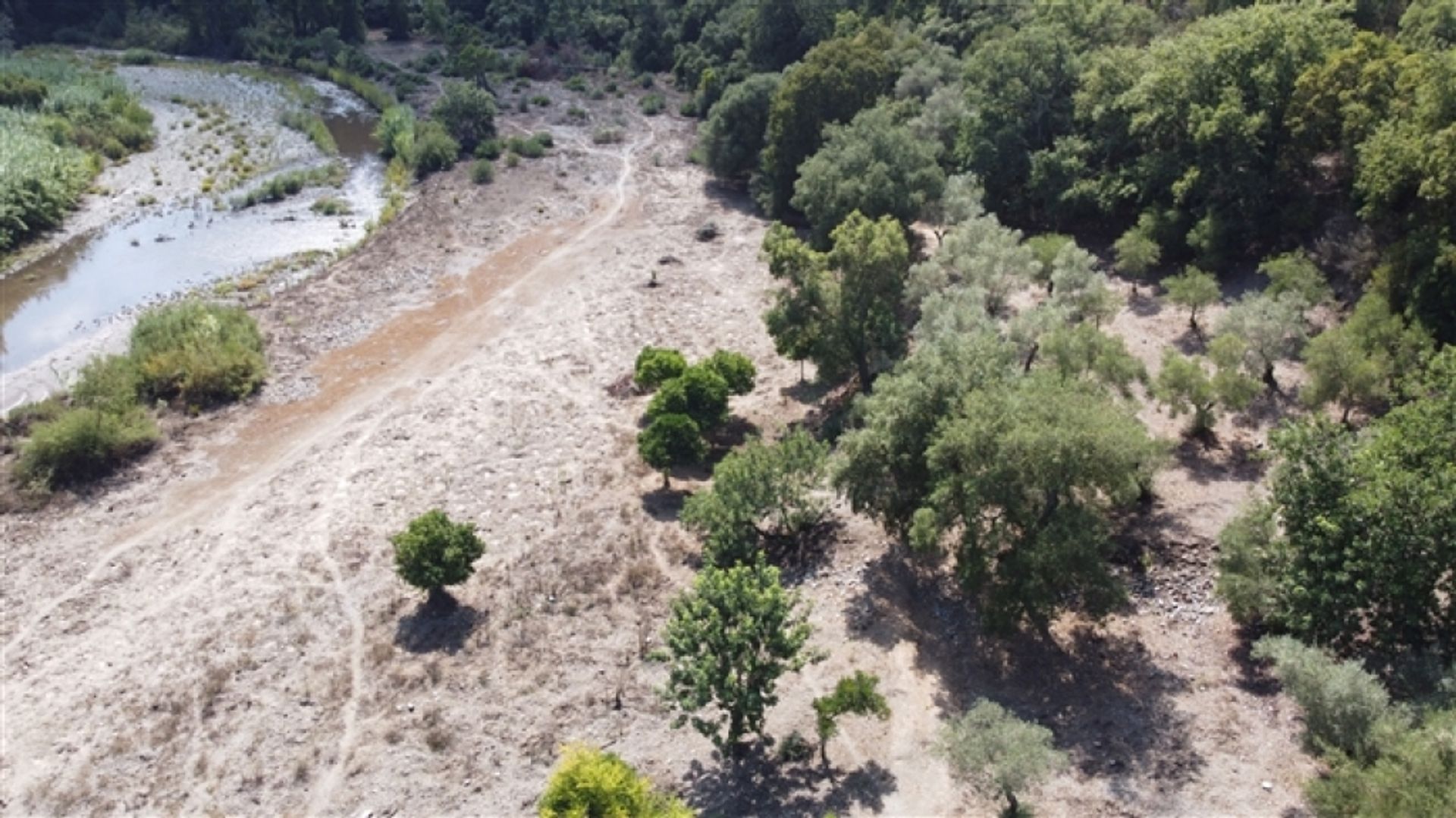 Land in Benarrabá, Andalucía 11517060