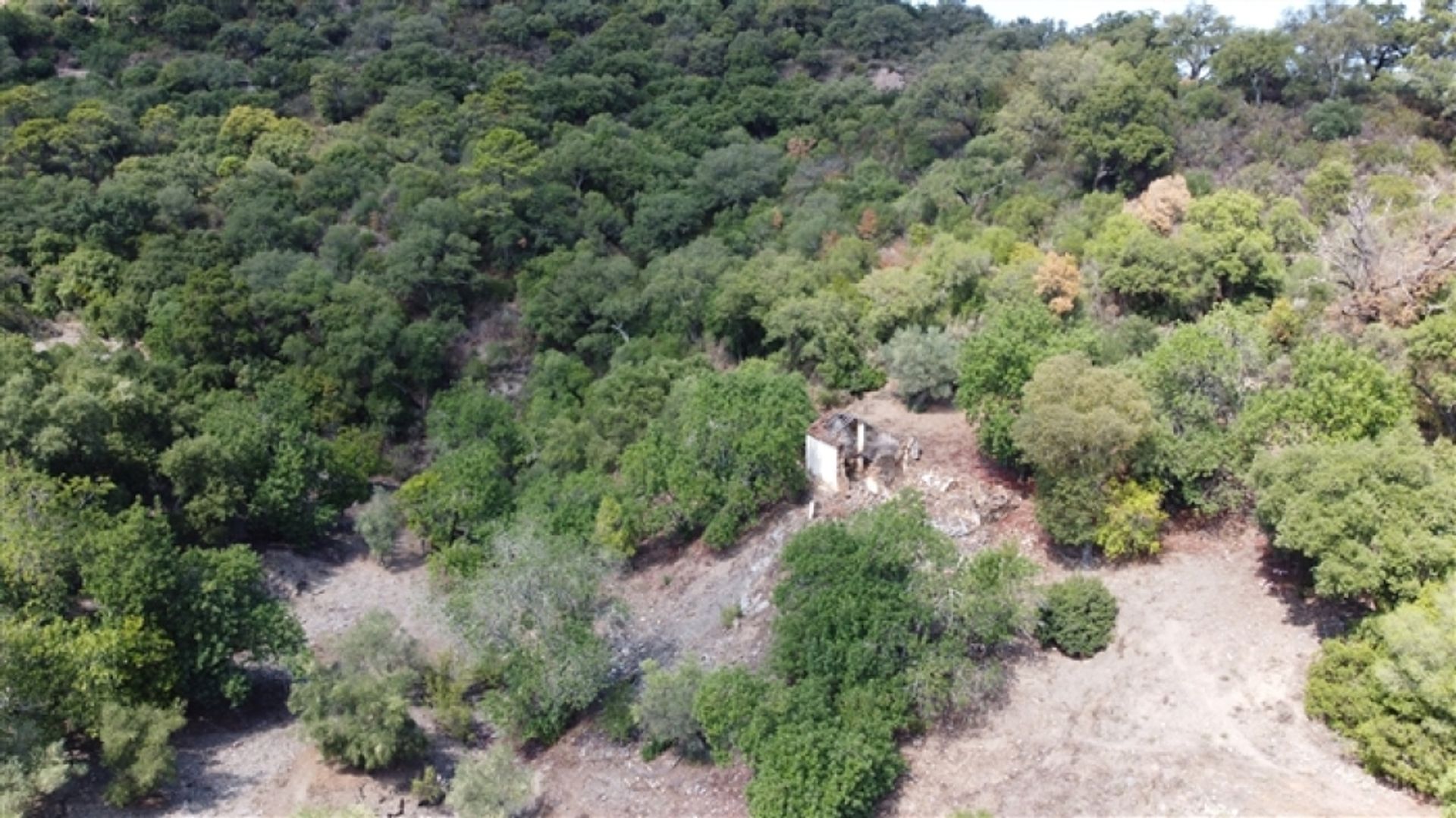 Land in Benarrabá, Andalucía 11517060