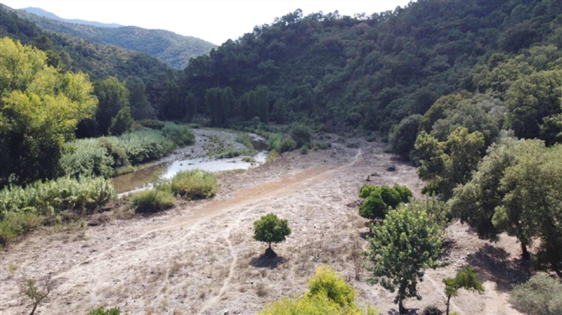 Land in Benarrabá, Andalucía 11517060