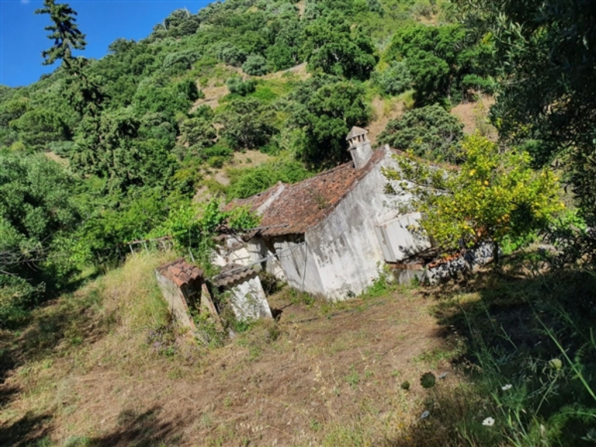 casa no Jubrique, Andaluzia 11517061