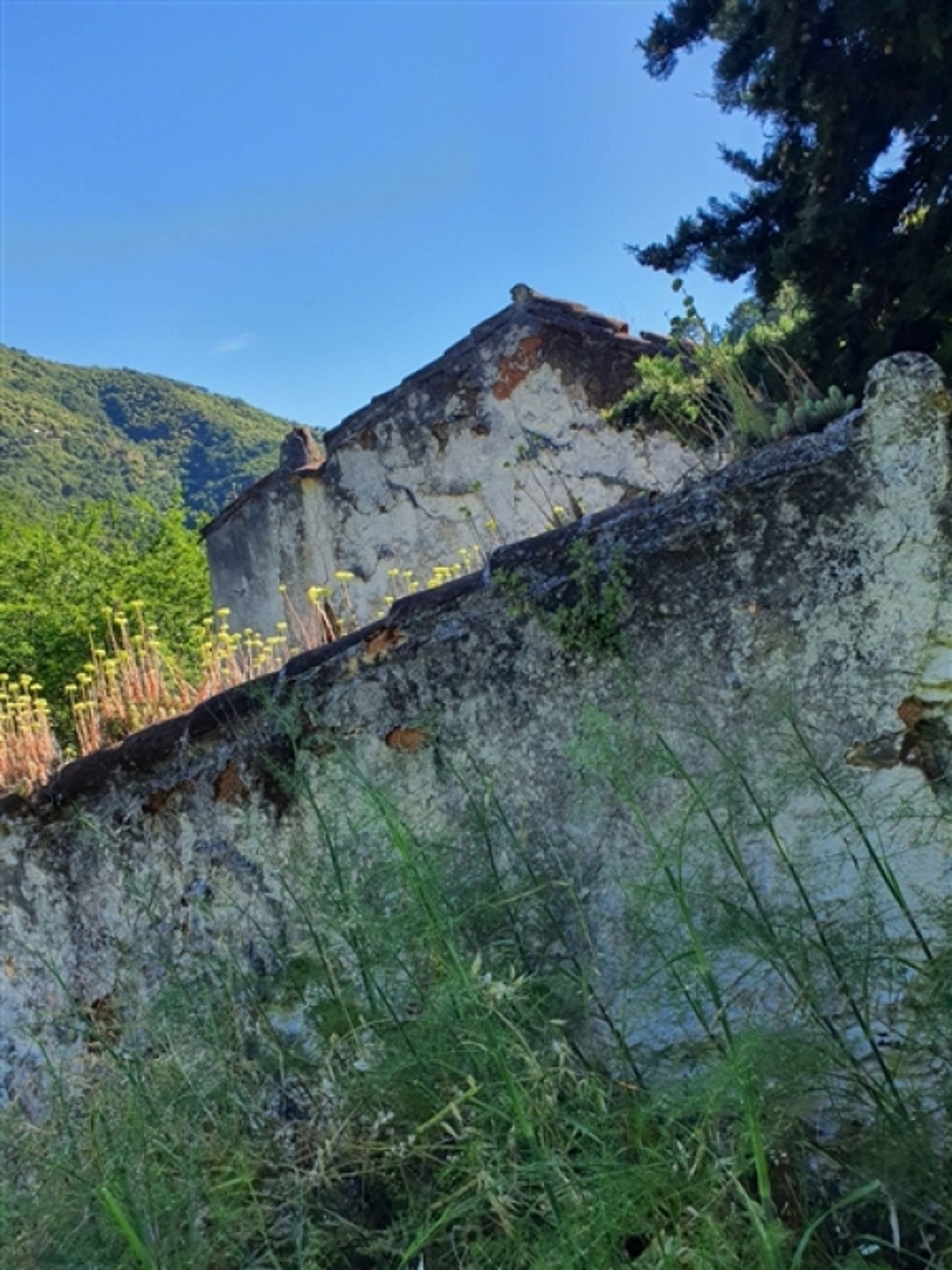 Hus i Jubrique, Andalucía 11517061