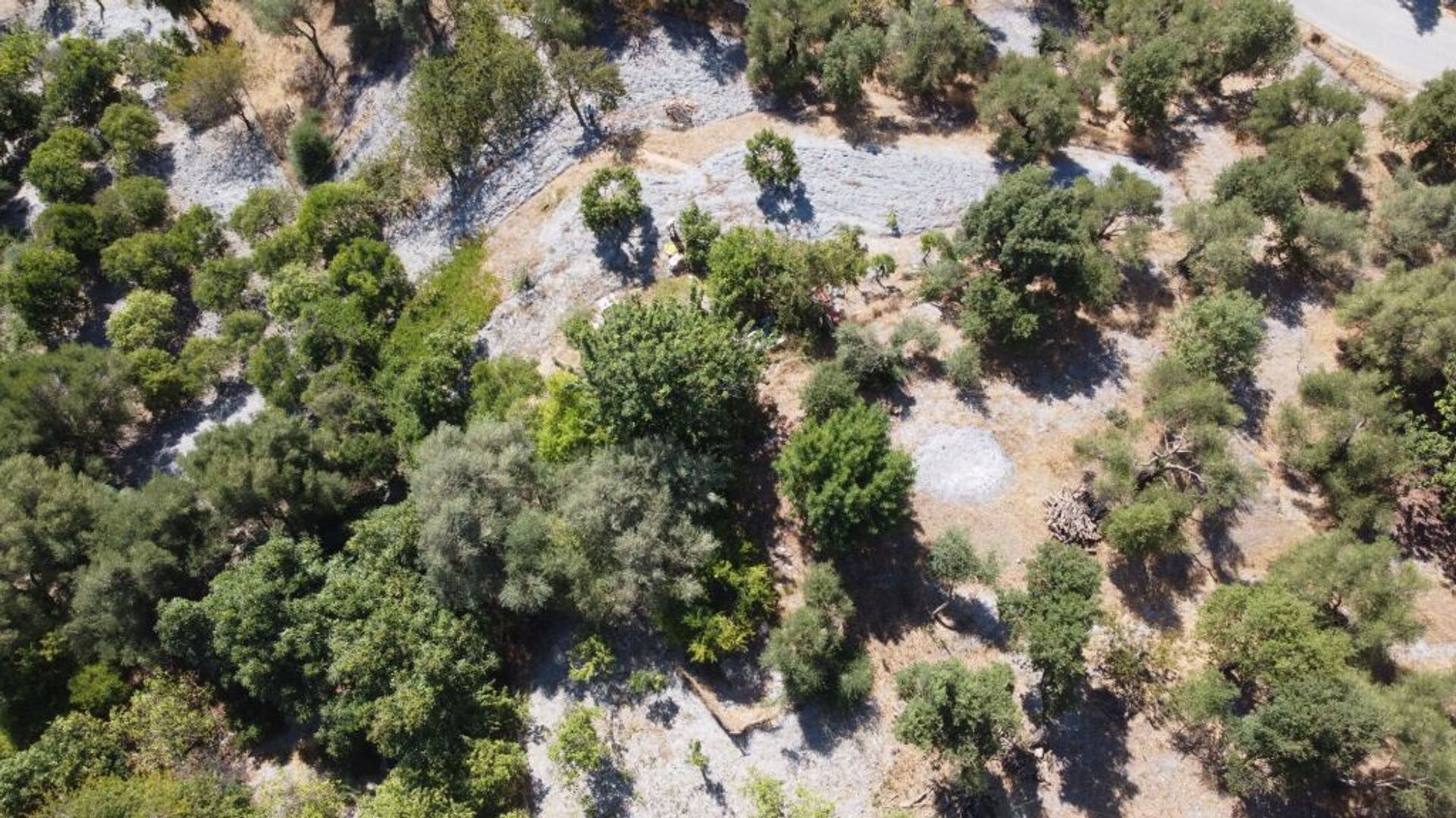 土地 在 Benarrabá, Andalucía 11517062