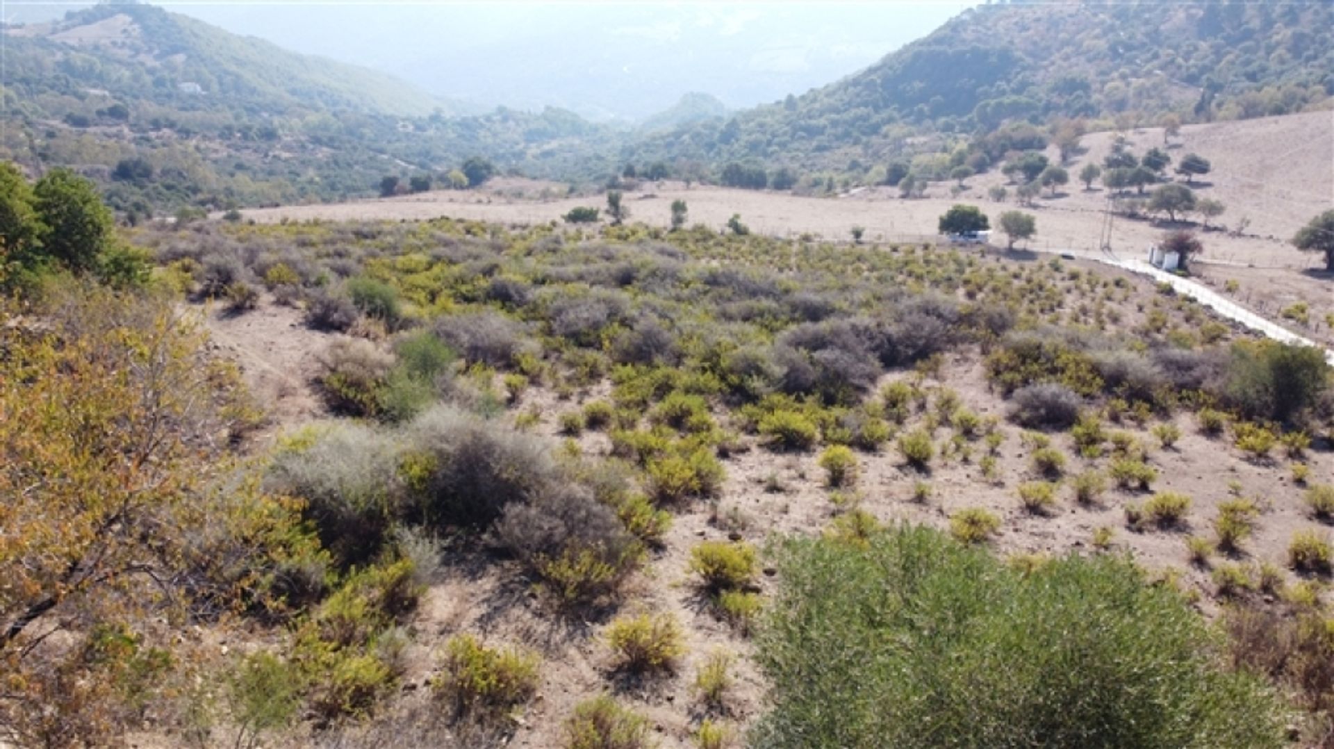 Land im Gaucín, Andalucía 11517063