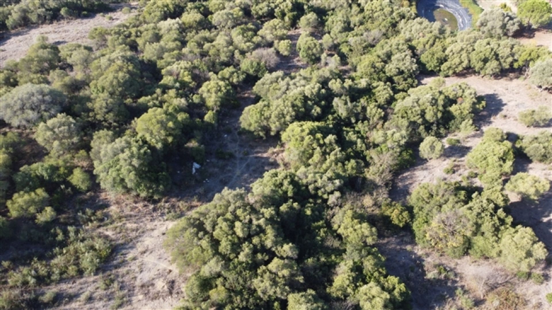 Land im Gaucín, Andalucía 11517064