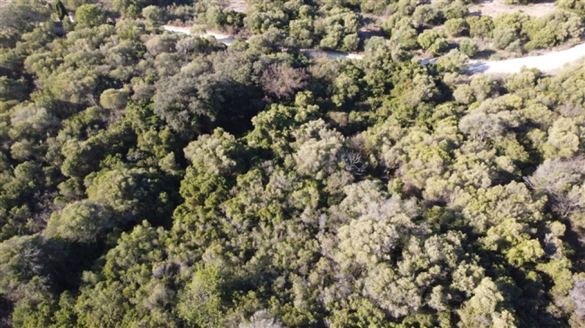 Land im Gaucín, Andalucía 11517064