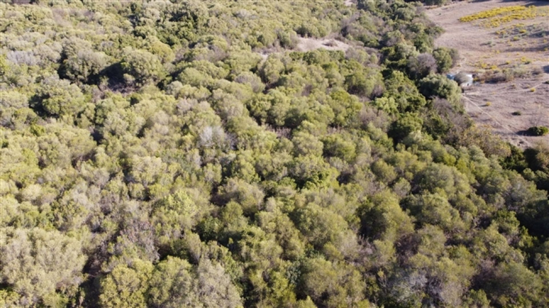 Land im Gaucín, Andalucía 11517064