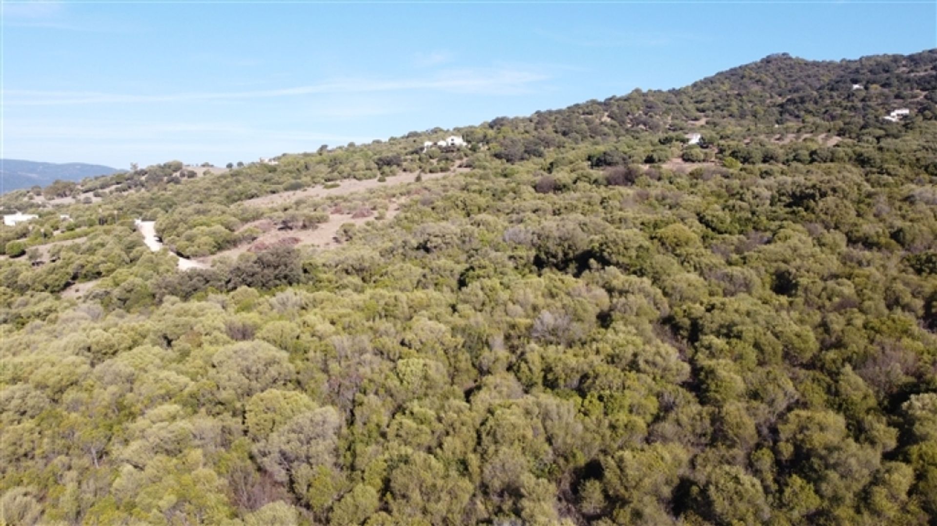 Land im Gaucín, Andalucía 11517064