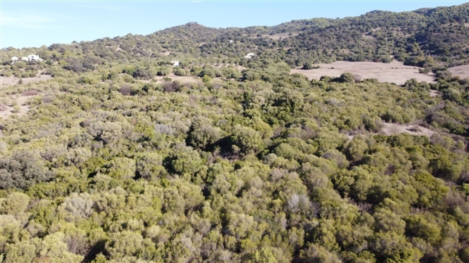 Land im Gaucín, Andalucía 11517064