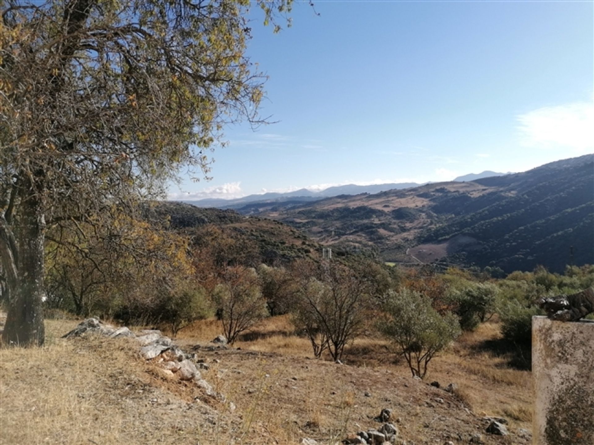 Huis in Benaoján, Andalucía 11517065