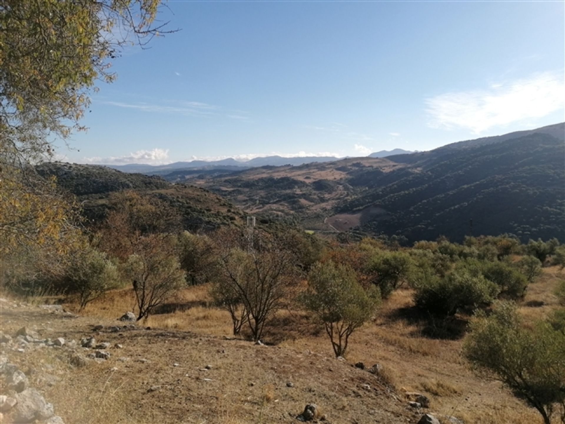 Huis in Benaoján, Andalucía 11517065