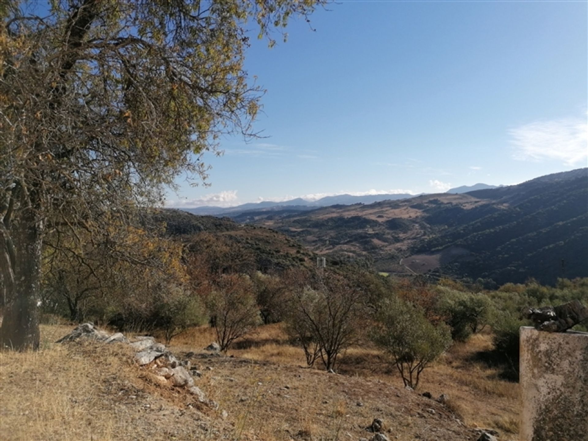 Huis in Benaoján, Andalucía 11517065