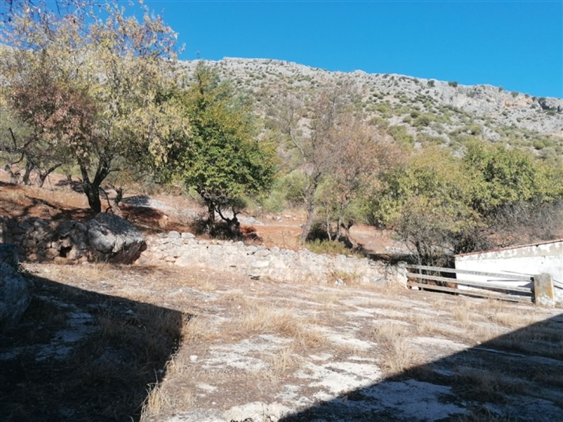 Huis in Benaoján, Andalucía 11517065