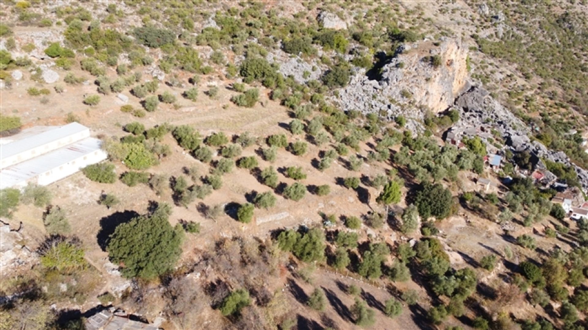 Huis in Benaoján, Andalucía 11517065