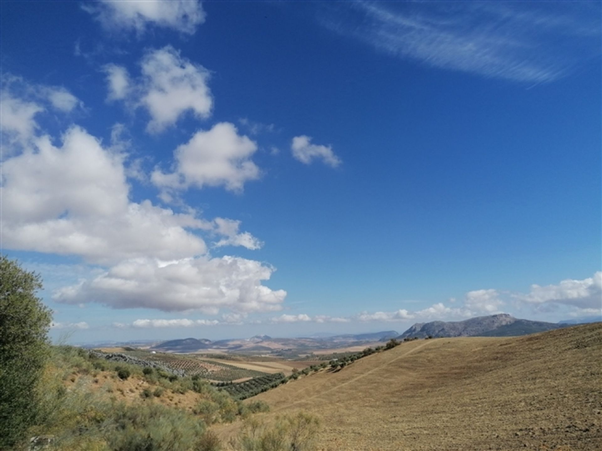 土地 在 Cuevas del Becerro, Andalucía 11517066