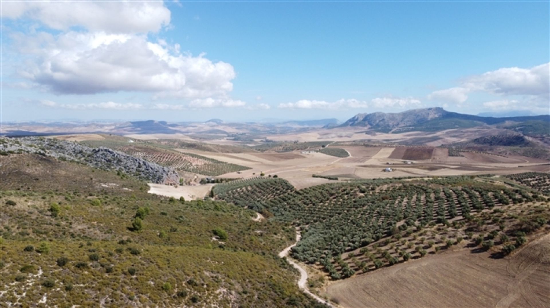 土地 在 Cuevas del Becerro, Andalucía 11517066