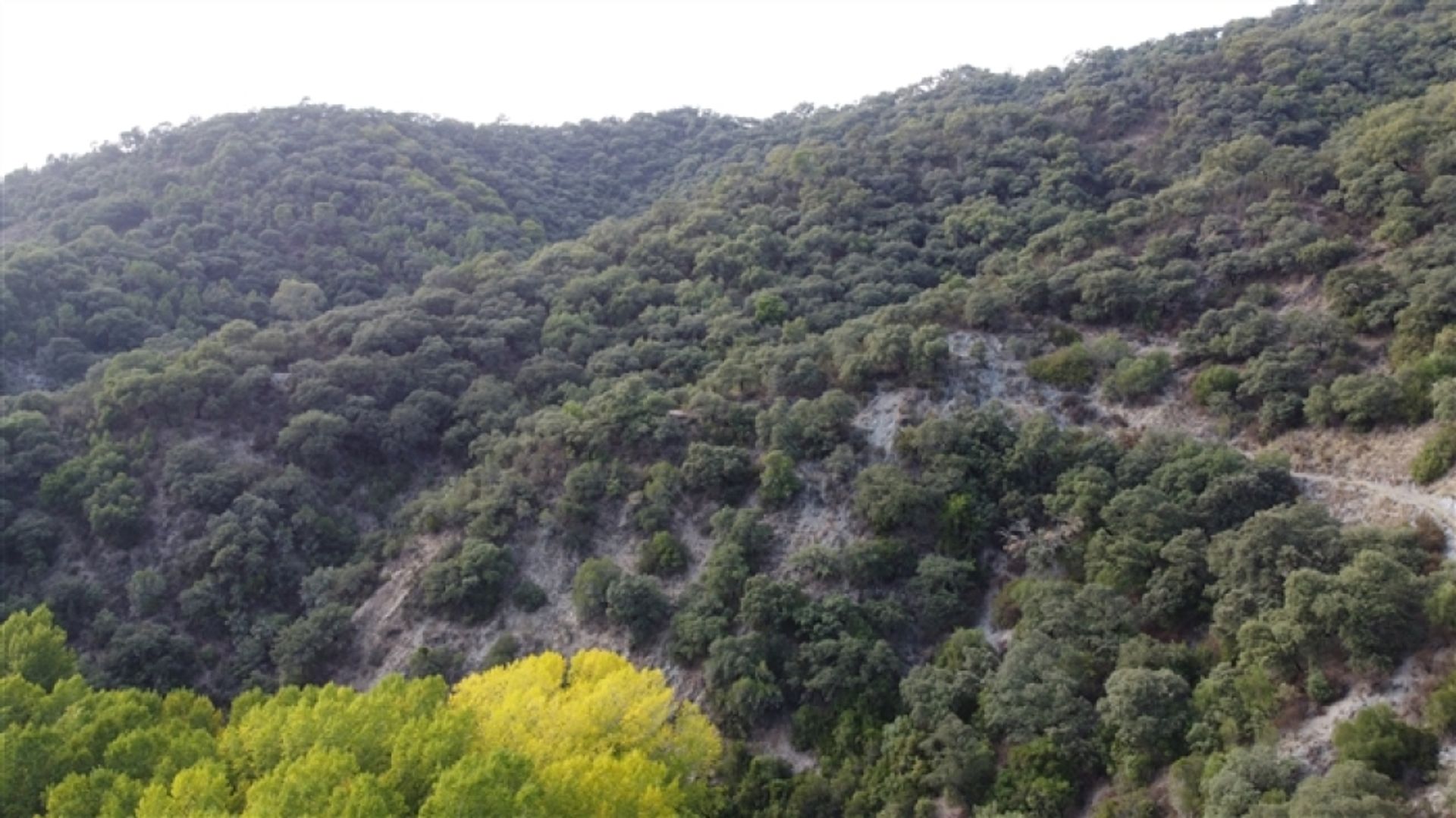 Terra no Farajan, Andaluzia 11517070