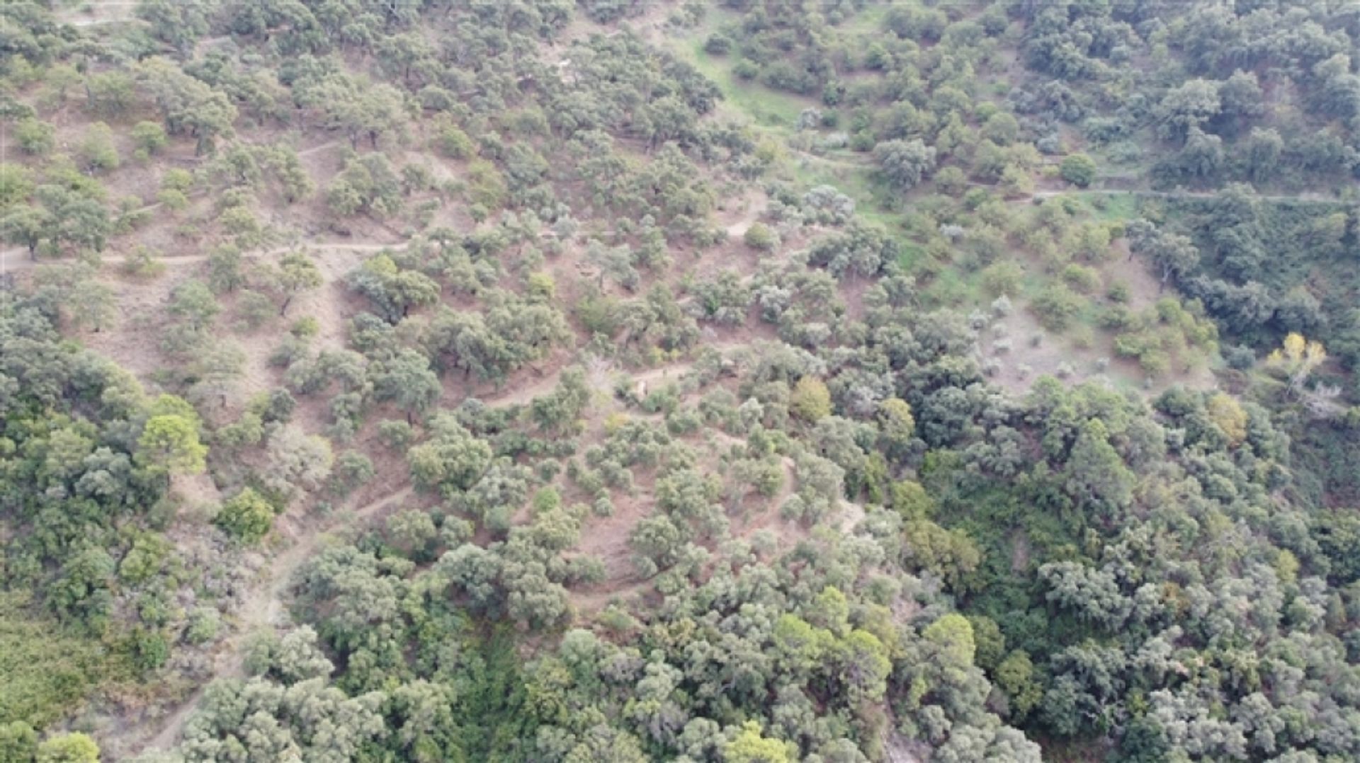 Tanah dalam Genalguacil, Andalucía 11517072