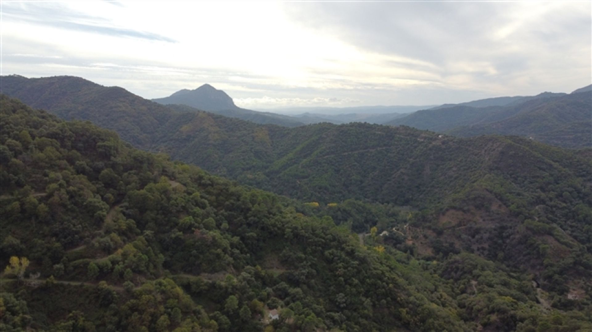 Tanah dalam Genalguacil, Andalucía 11517072