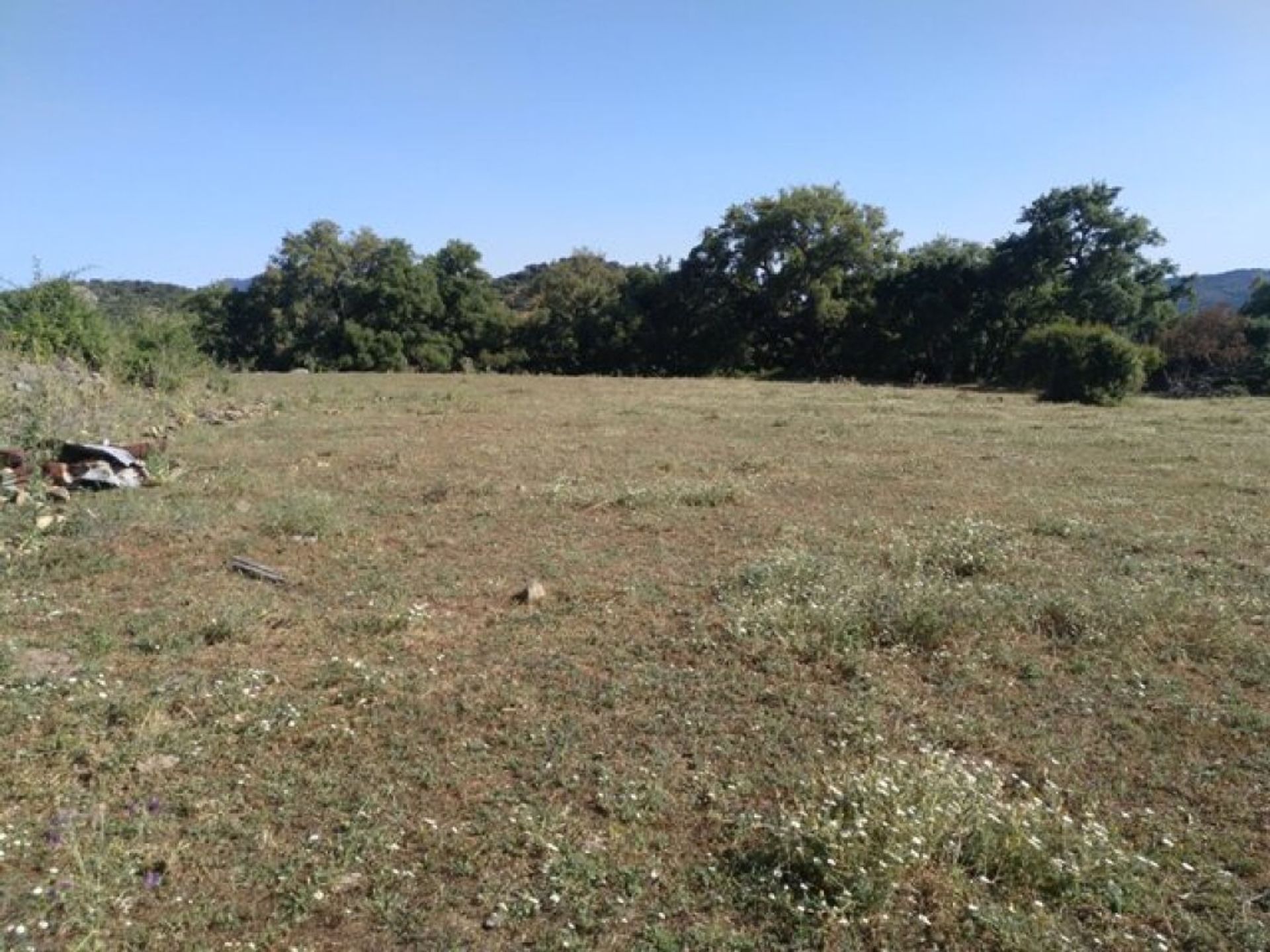 Land in Cortes de la Frontera, Andalusië 11517074