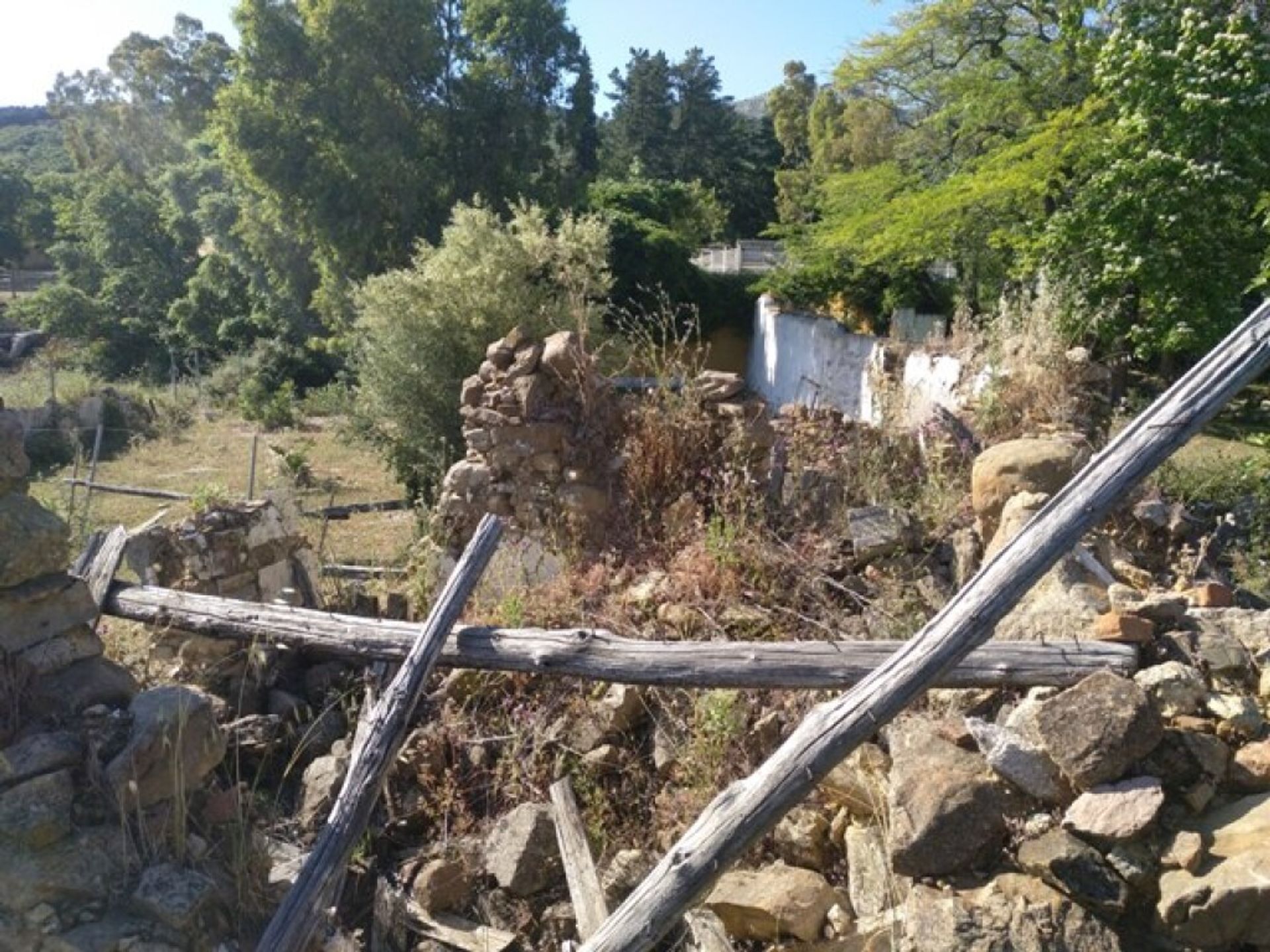 土地 在 Cortes de la Frontera, Andalucía 11517074