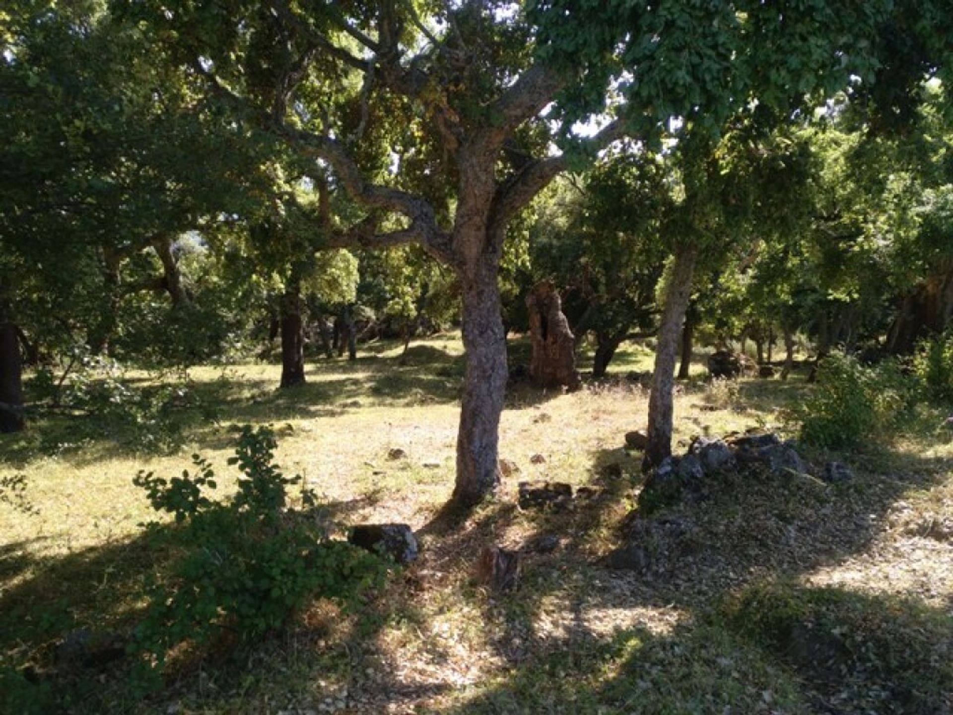 Land in Cortes de la Frontera, Andalusië 11517074