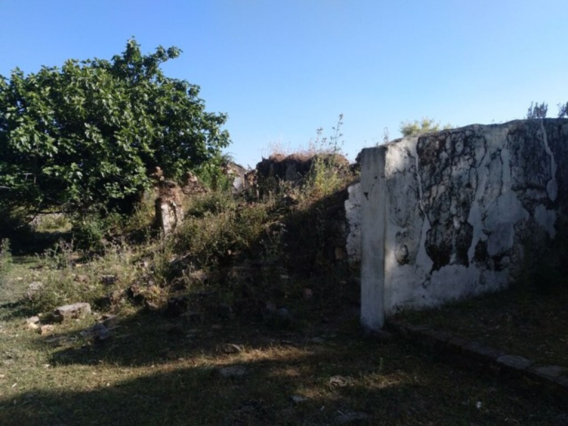 土地 在 Cortes de la Frontera, Andalucía 11517074