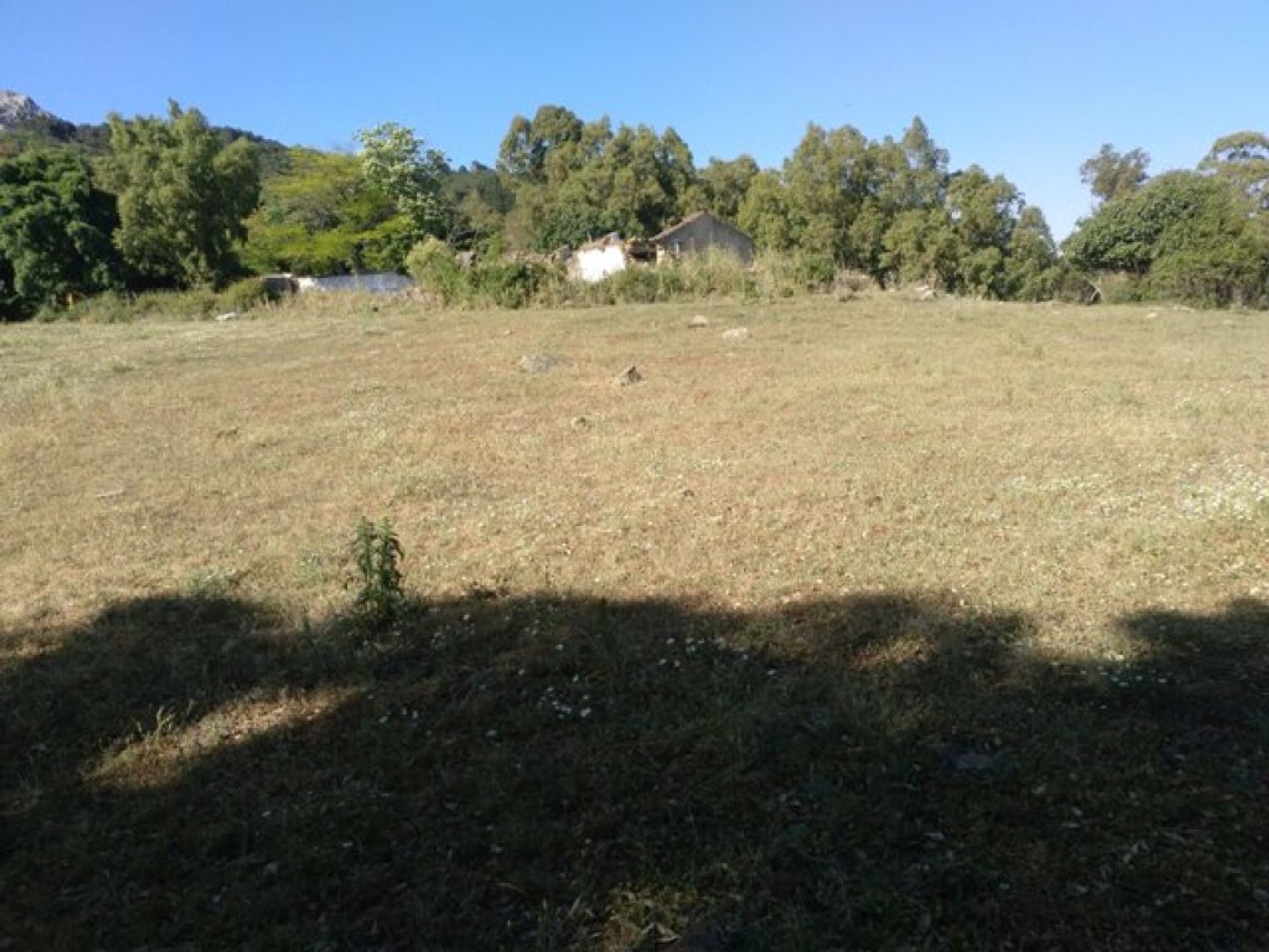 Land in Cortes de la Frontera, Andalusië 11517074