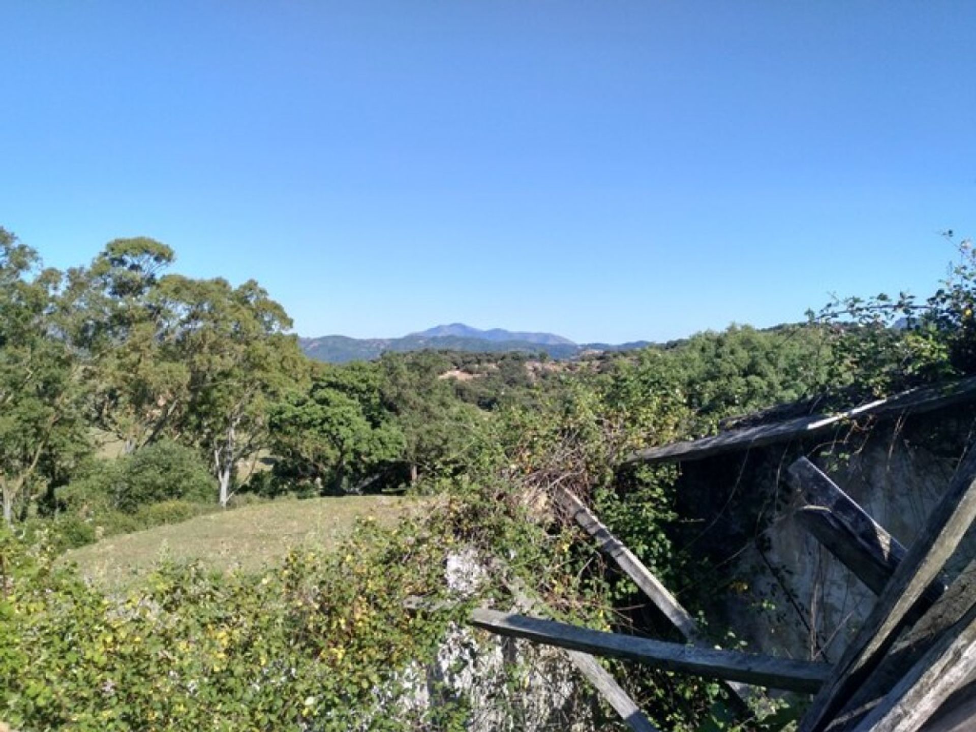 土地 在 Cortes de la Frontera, Andalucía 11517074