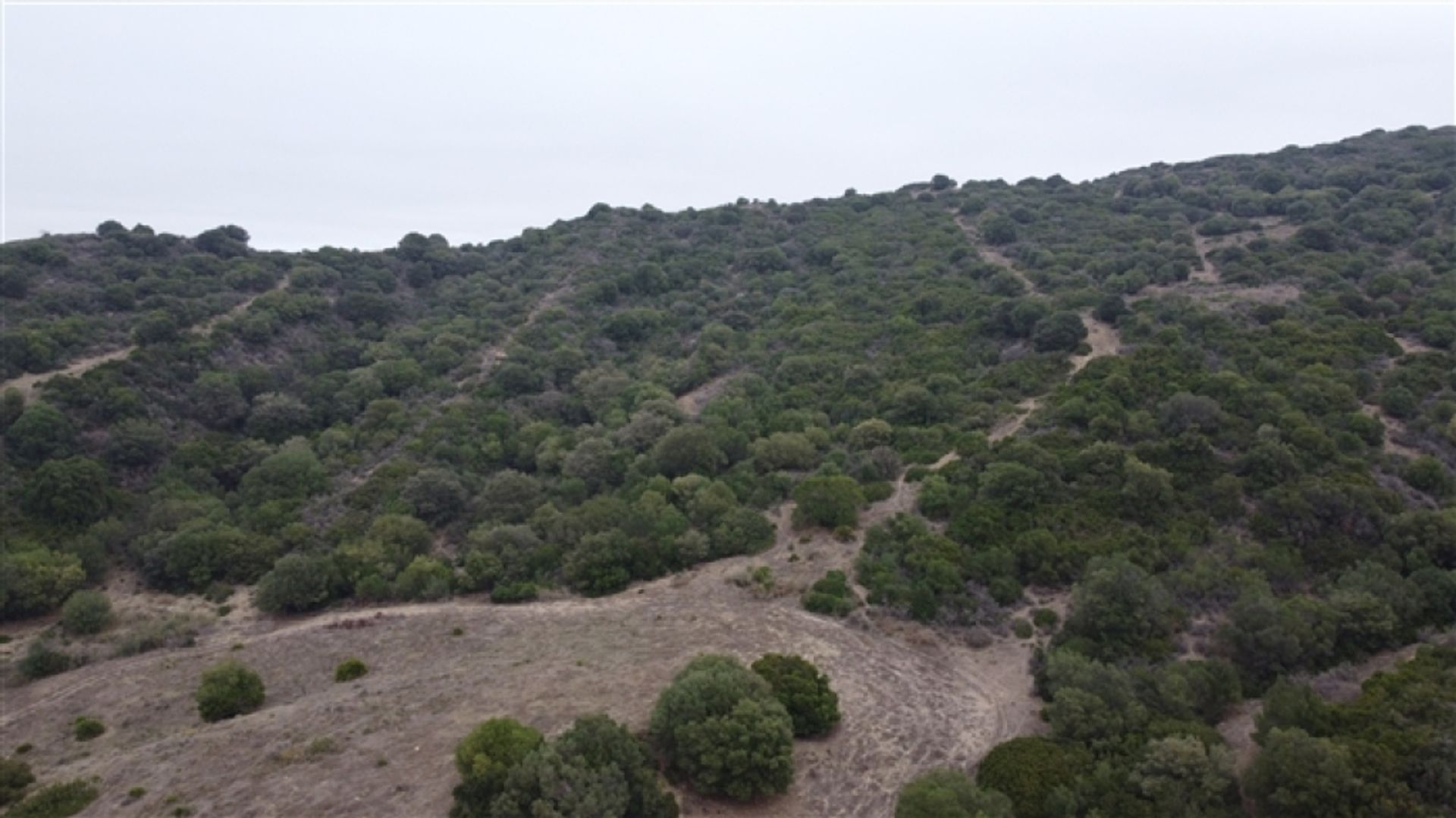 Tierra en Guadiaro, Andalusia 11517077