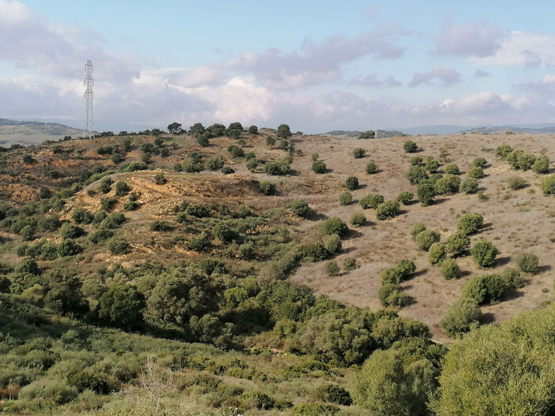 Tanah dalam Casares, Andalusia 11517089