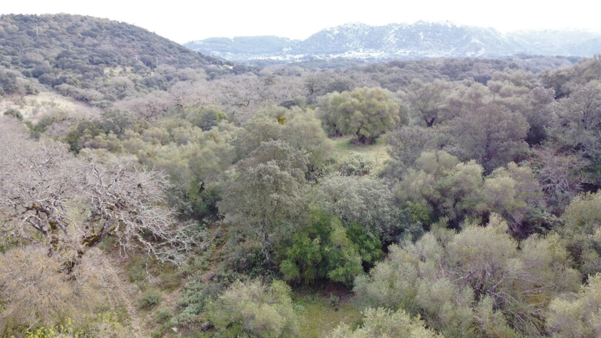 loger dans Cañada del Real Tesoro, Andalucía 11517103