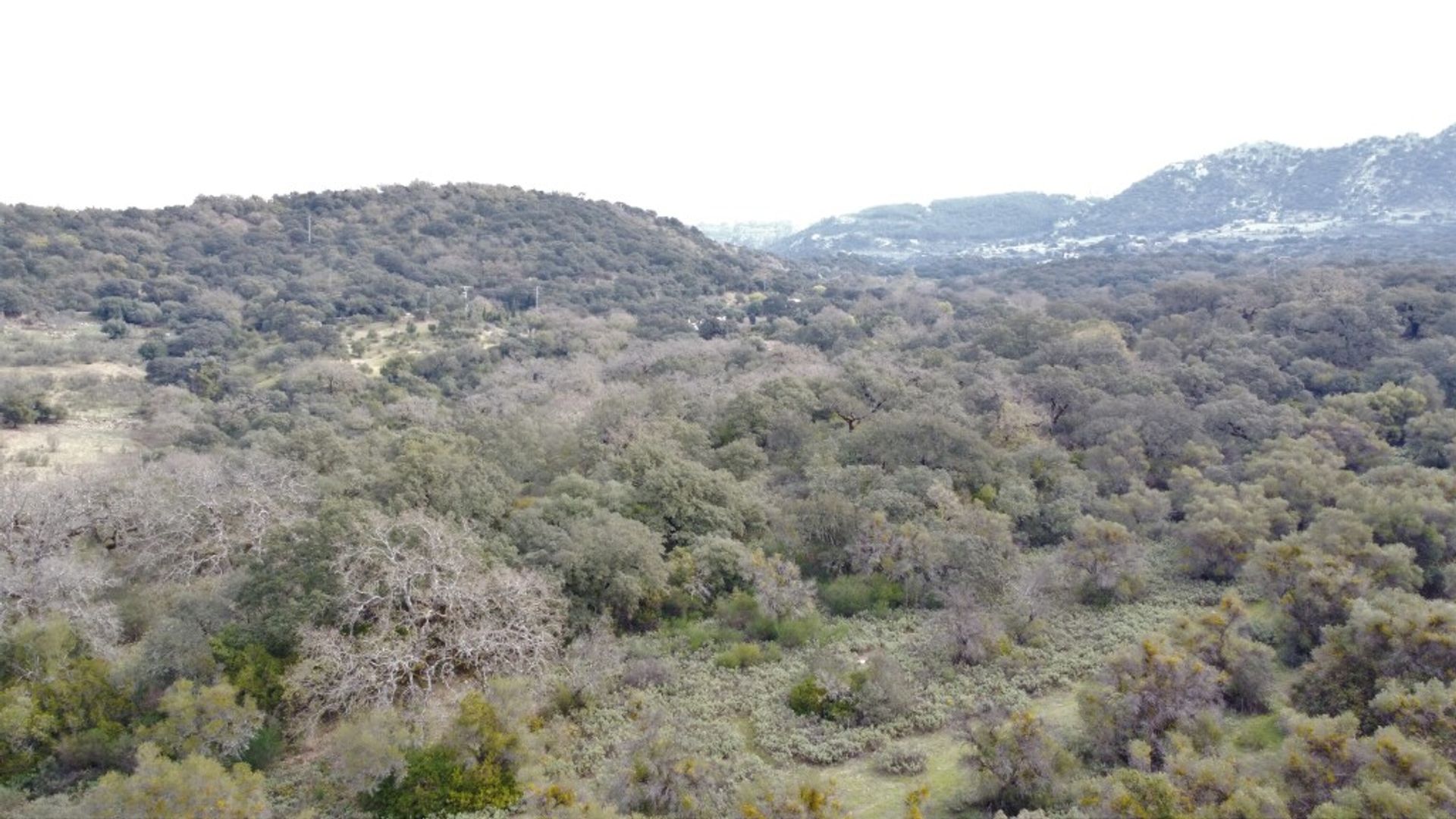 loger dans Cañada del Real Tesoro, Andalucía 11517103