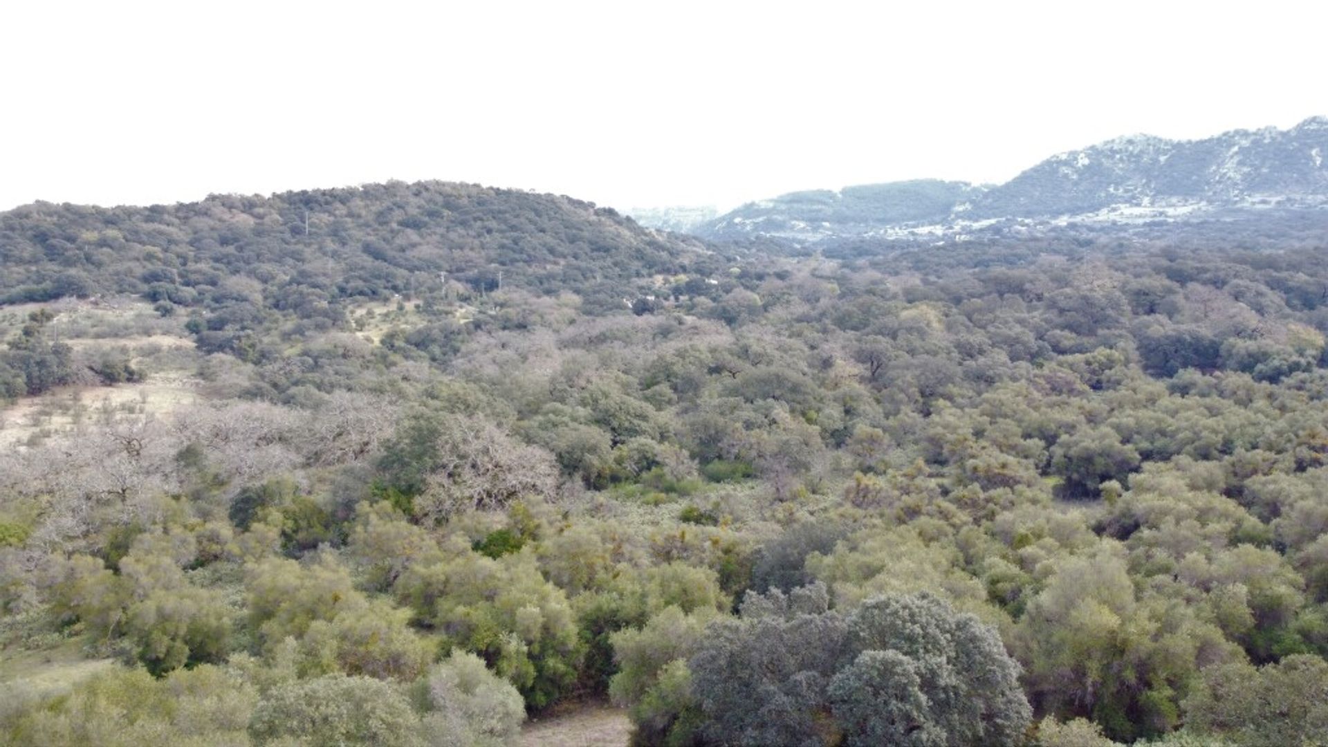 loger dans Cañada del Real Tesoro, Andalucía 11517103