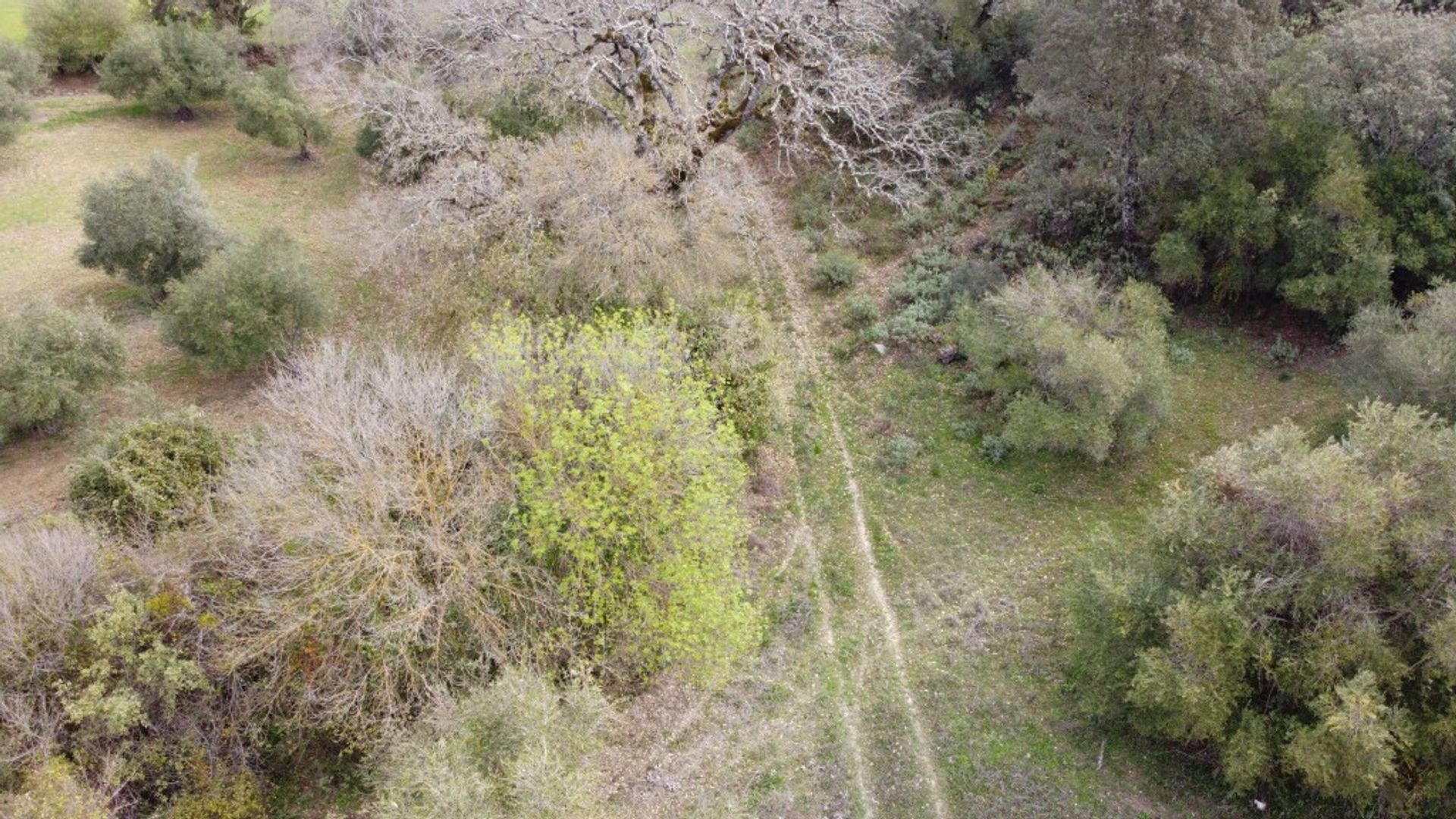 loger dans Cañada del Real Tesoro, Andalucía 11517103