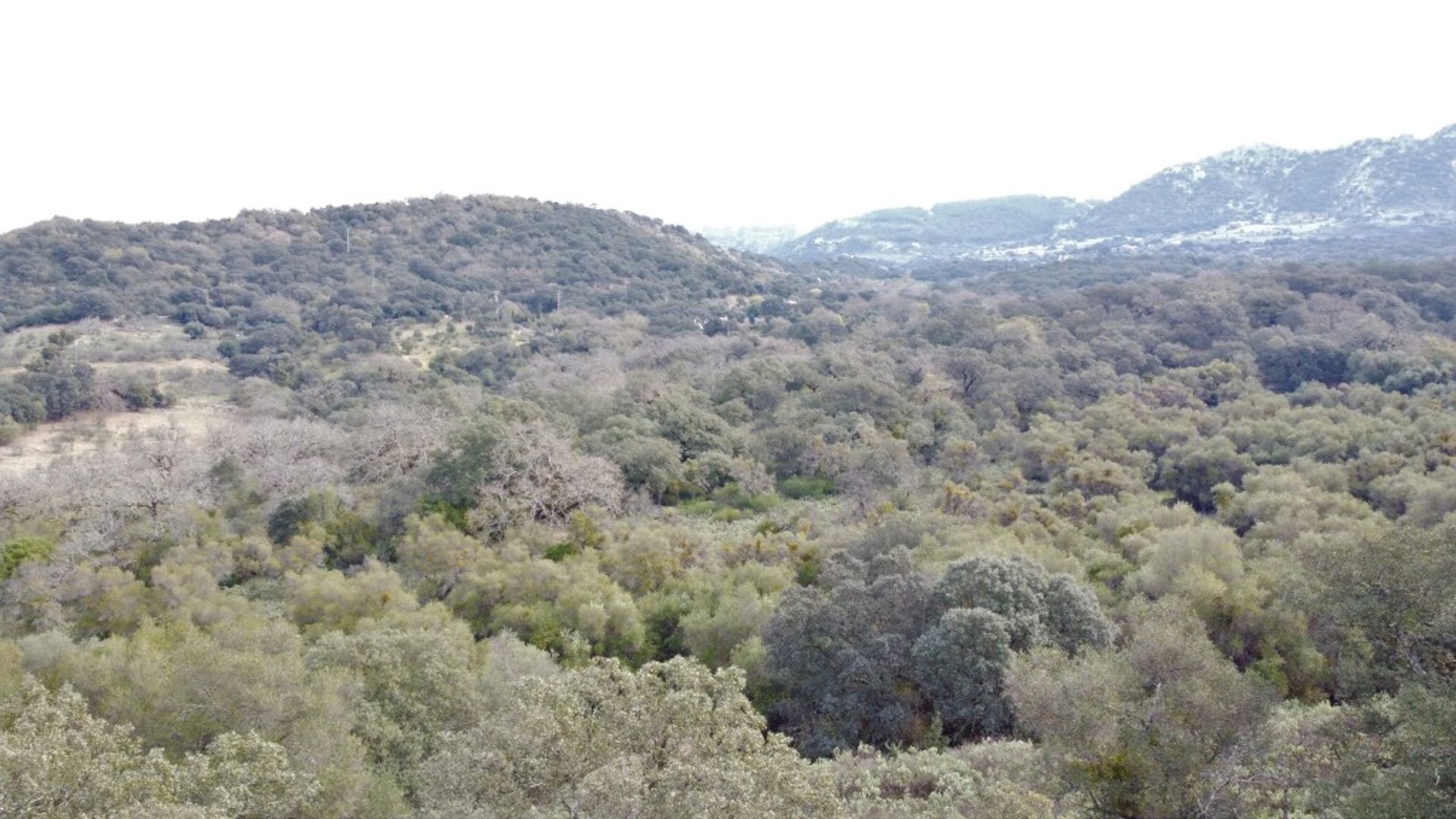 loger dans Cañada del Real Tesoro, Andalucía 11517103