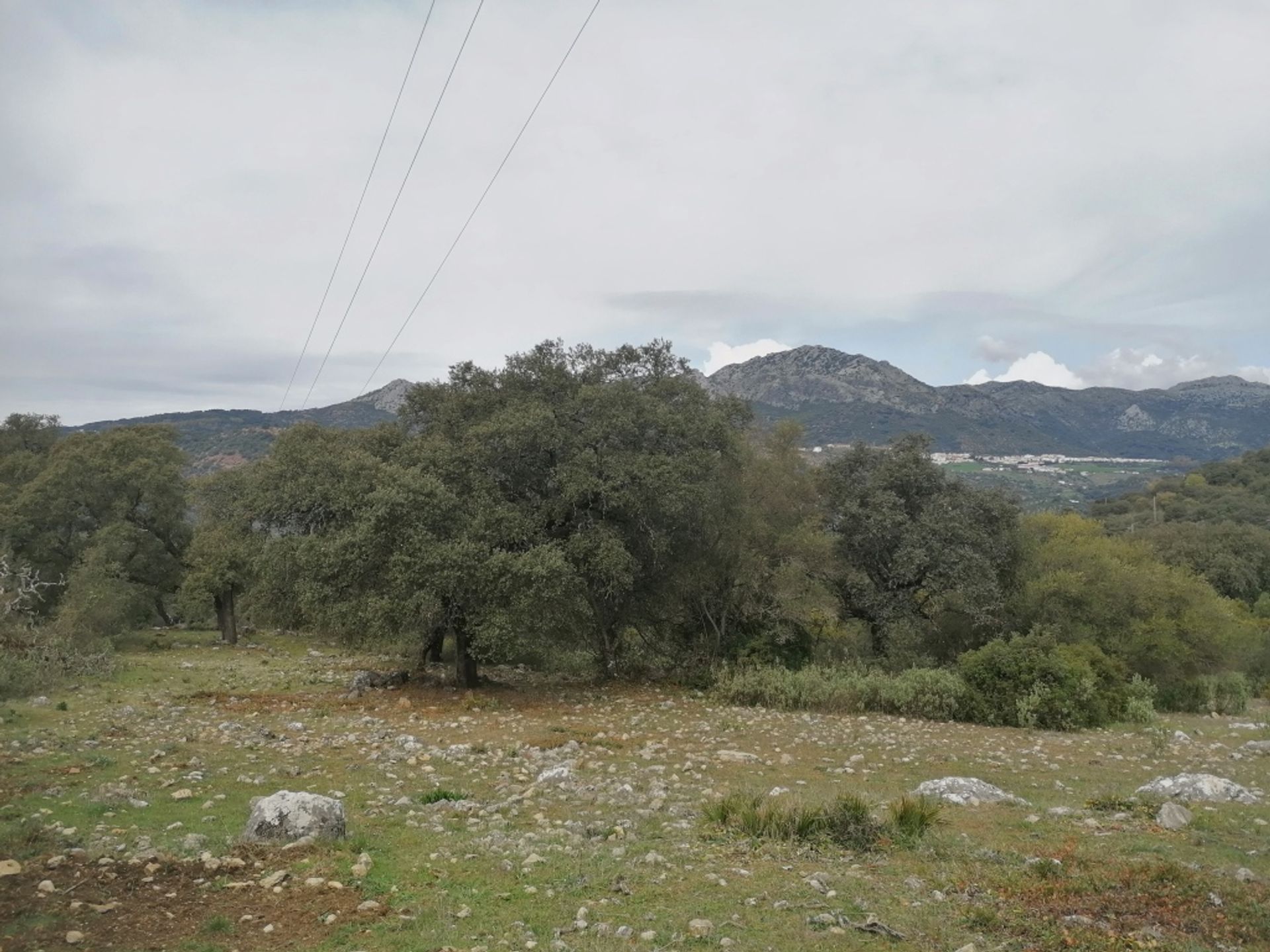 loger dans Cañada del Real Tesoro, Andalucía 11517103