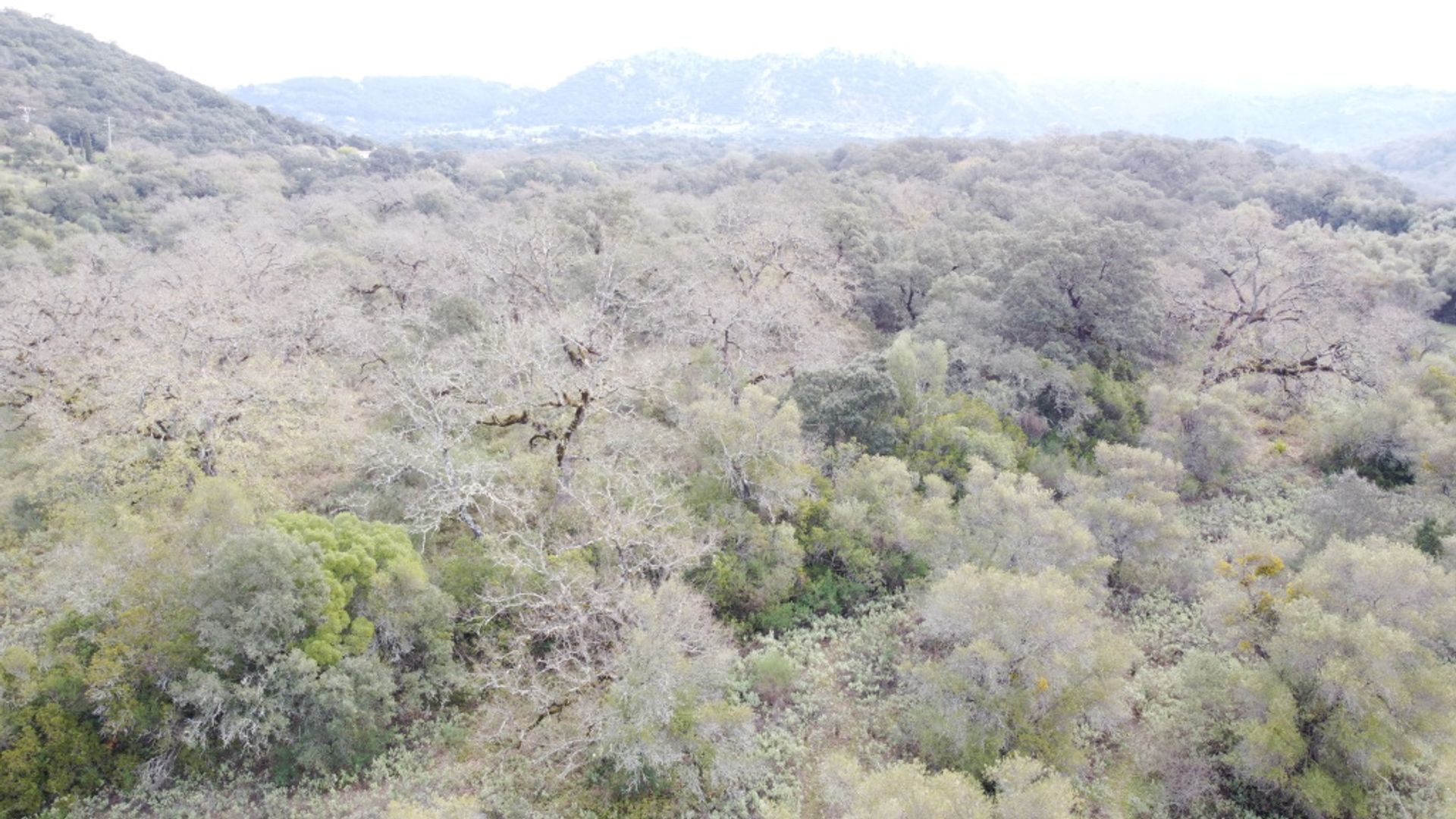 loger dans Cañada del Real Tesoro, Andalucía 11517103