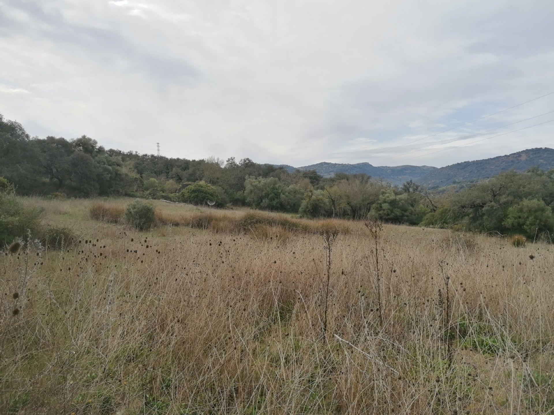 loger dans Cañada del Real Tesoro, Andalucía 11517103