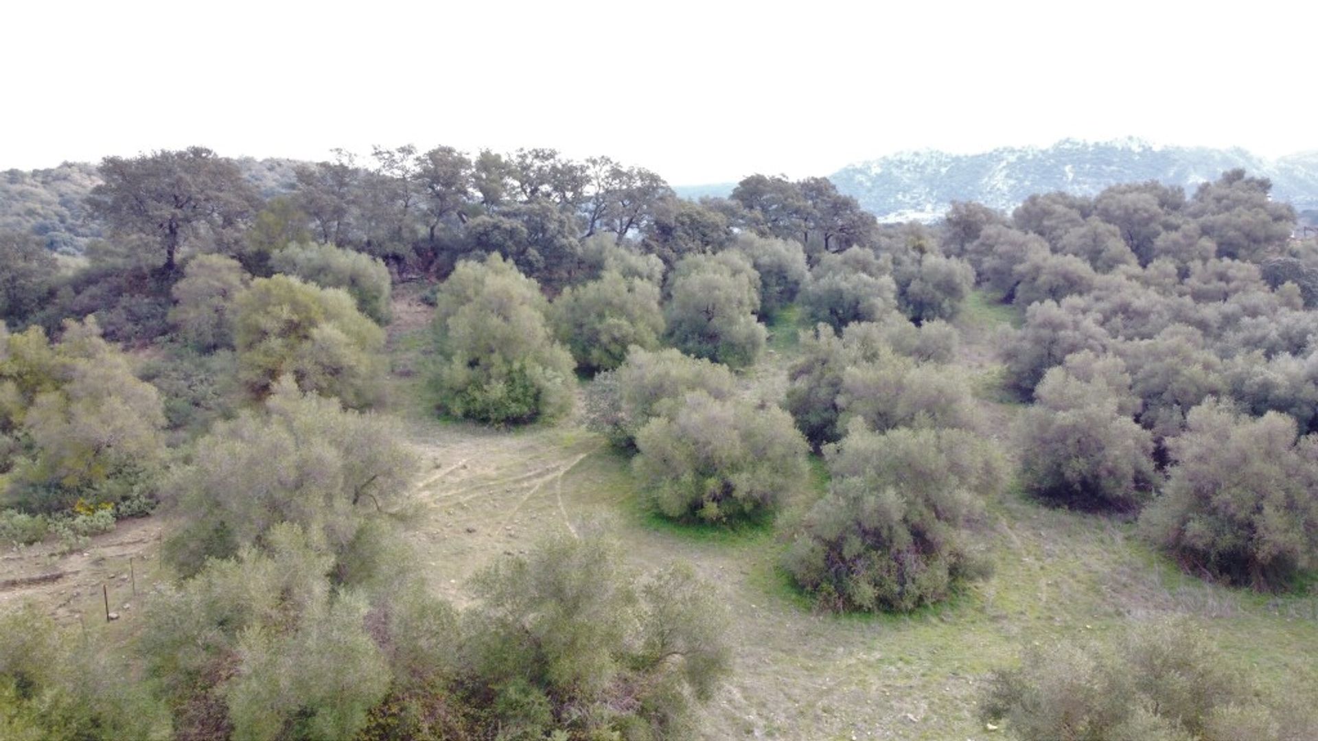 loger dans Cañada del Real Tesoro, Andalucía 11517103