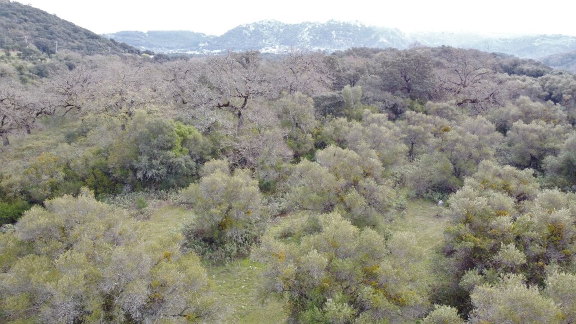 loger dans Cañada del Real Tesoro, Andalucía 11517103