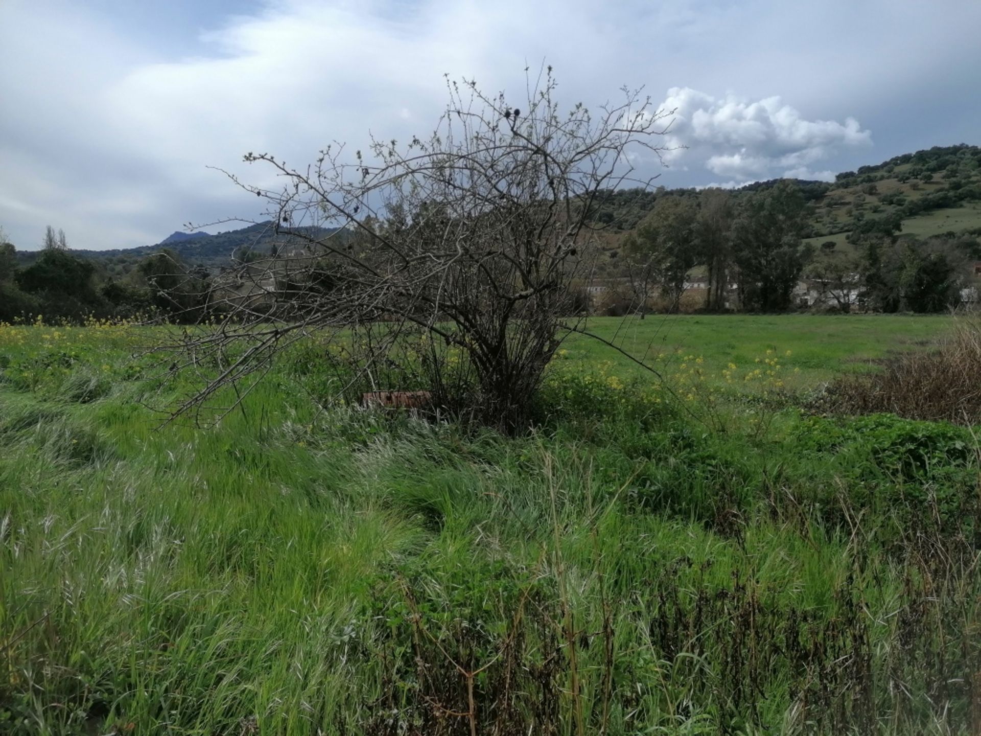 loger dans Cañada del Real Tesoro, Andalucía 11517103