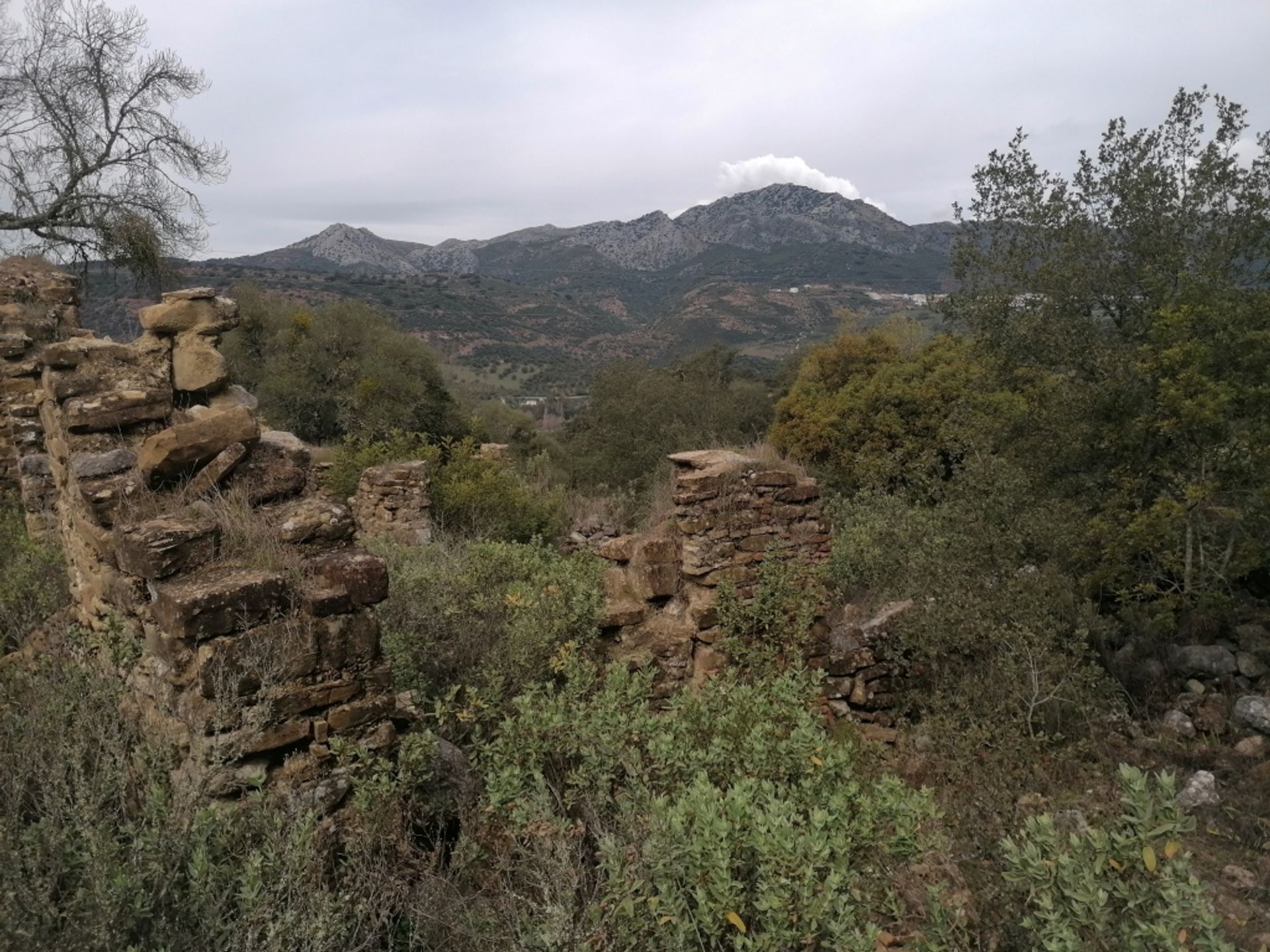 Kediaman dalam Cañada del Real Tesoro, Andalucía 11517103