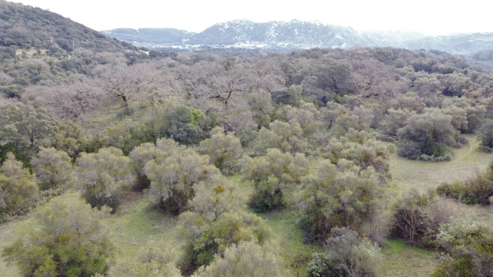 loger dans Cañada del Real Tesoro, Andalucía 11517103