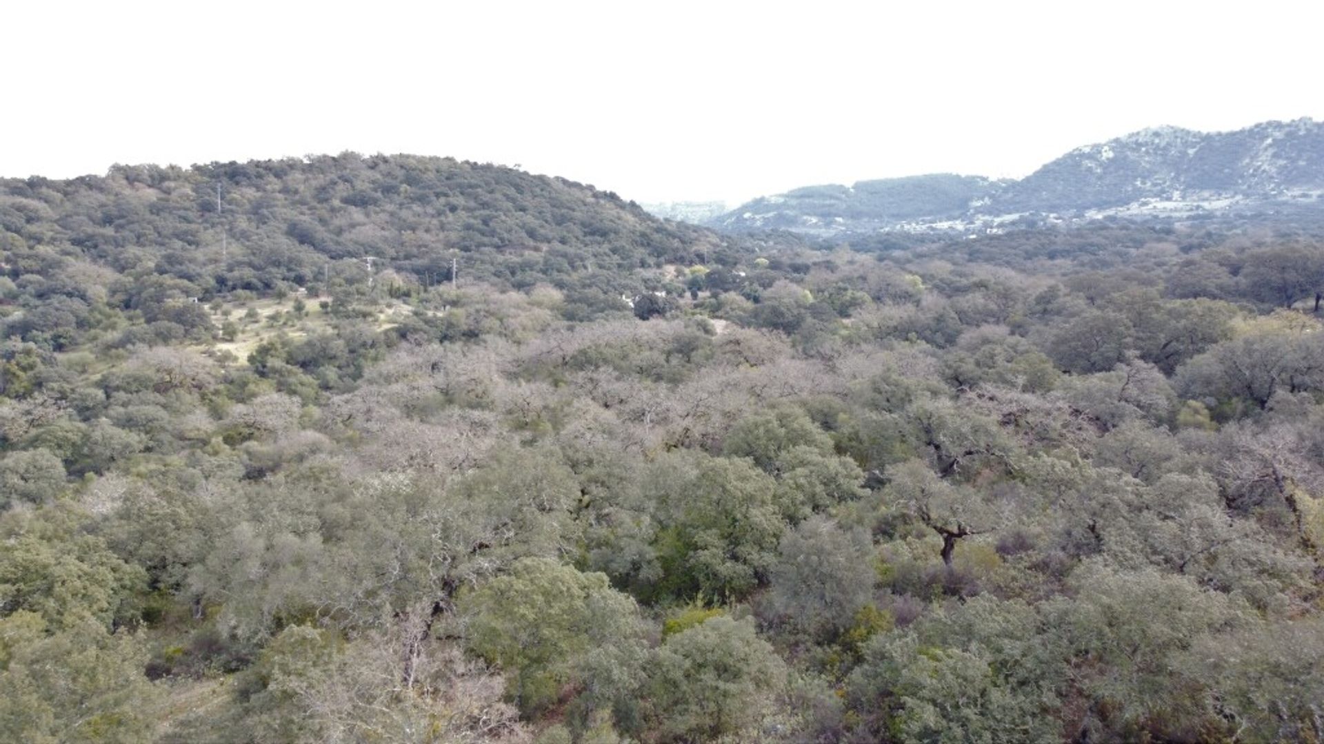 loger dans Cañada del Real Tesoro, Andalucía 11517103