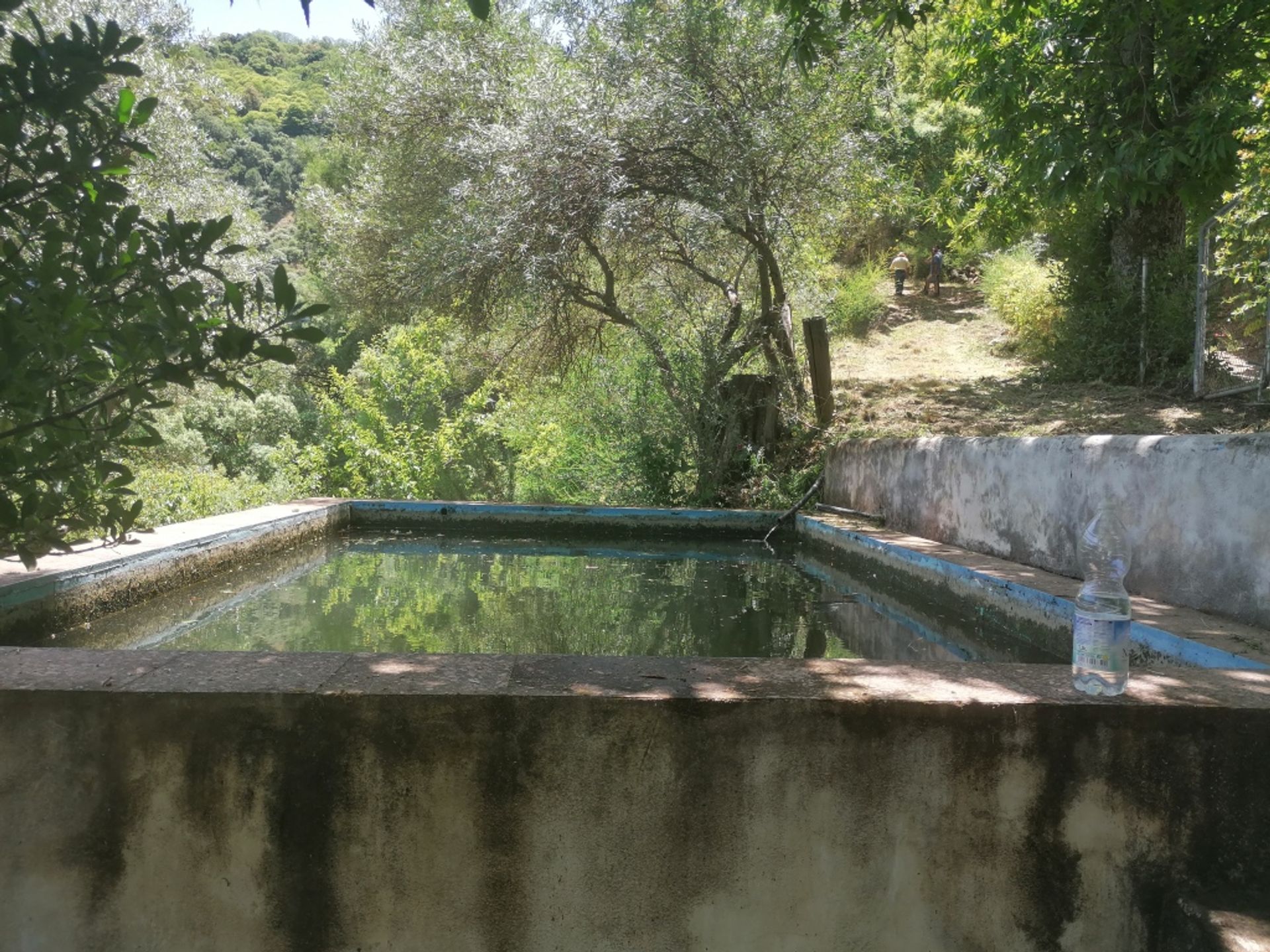 casa no Genalguacil, Andalucía 11517110