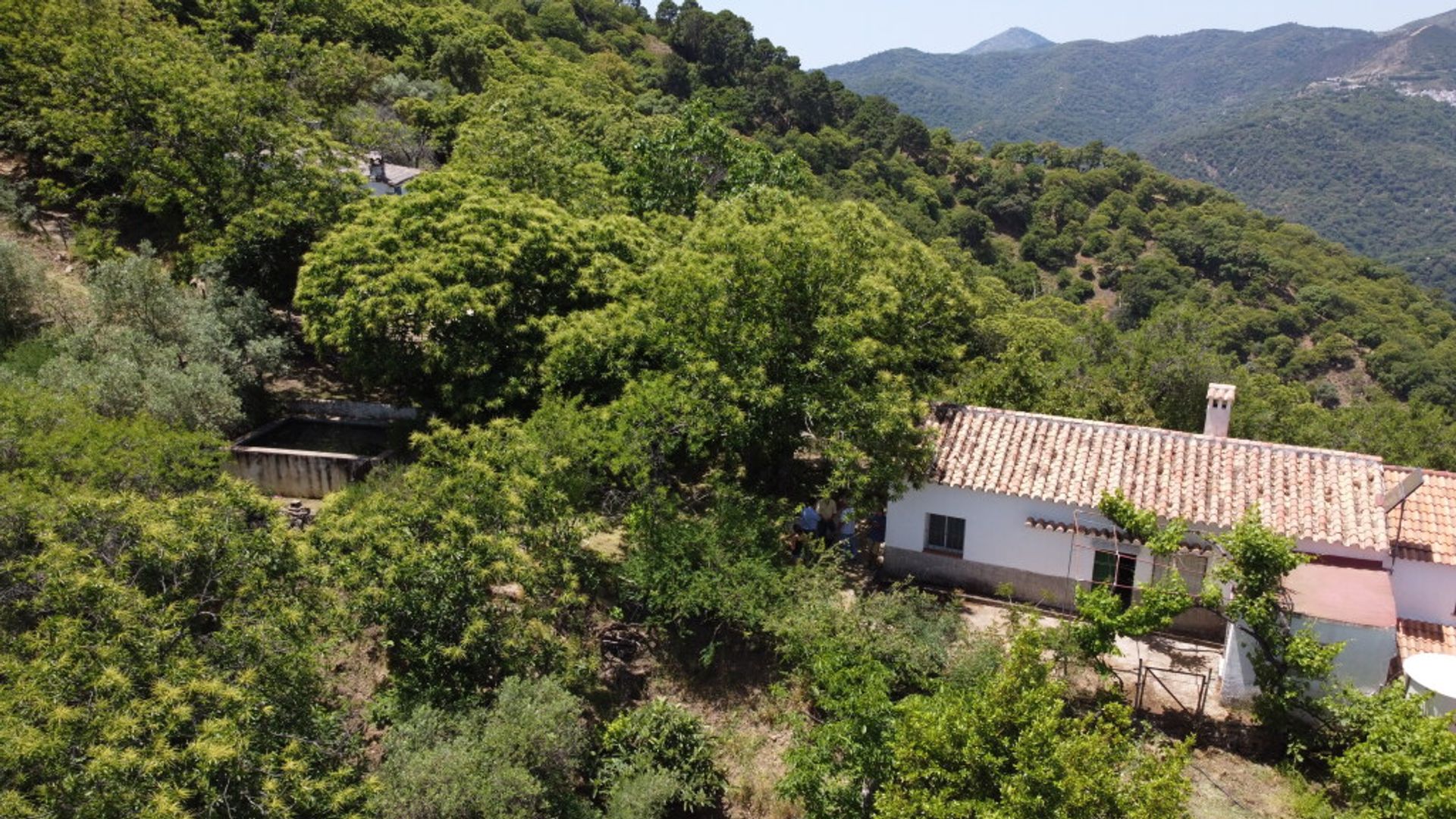 Huis in Genalguacil, Andalusia 11517110